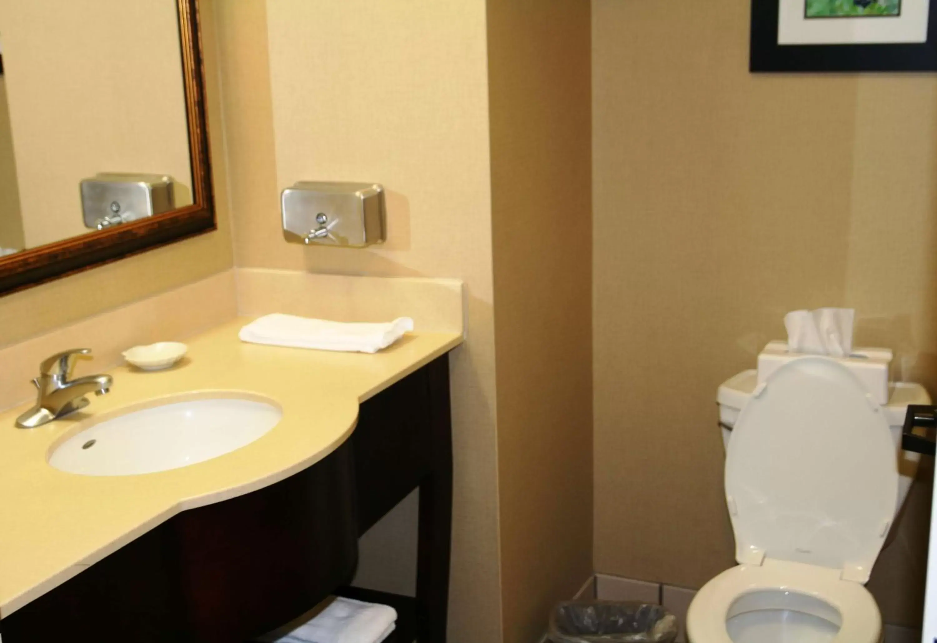 Meeting/conference room, Bathroom in Hampton Inn Mount Airy