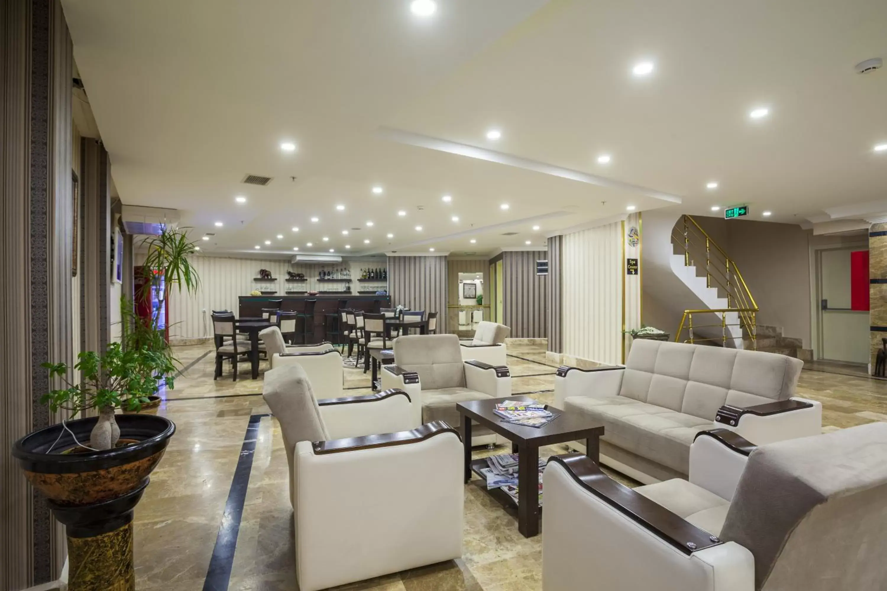 Lobby or reception, Lounge/Bar in Ayhan Hotel