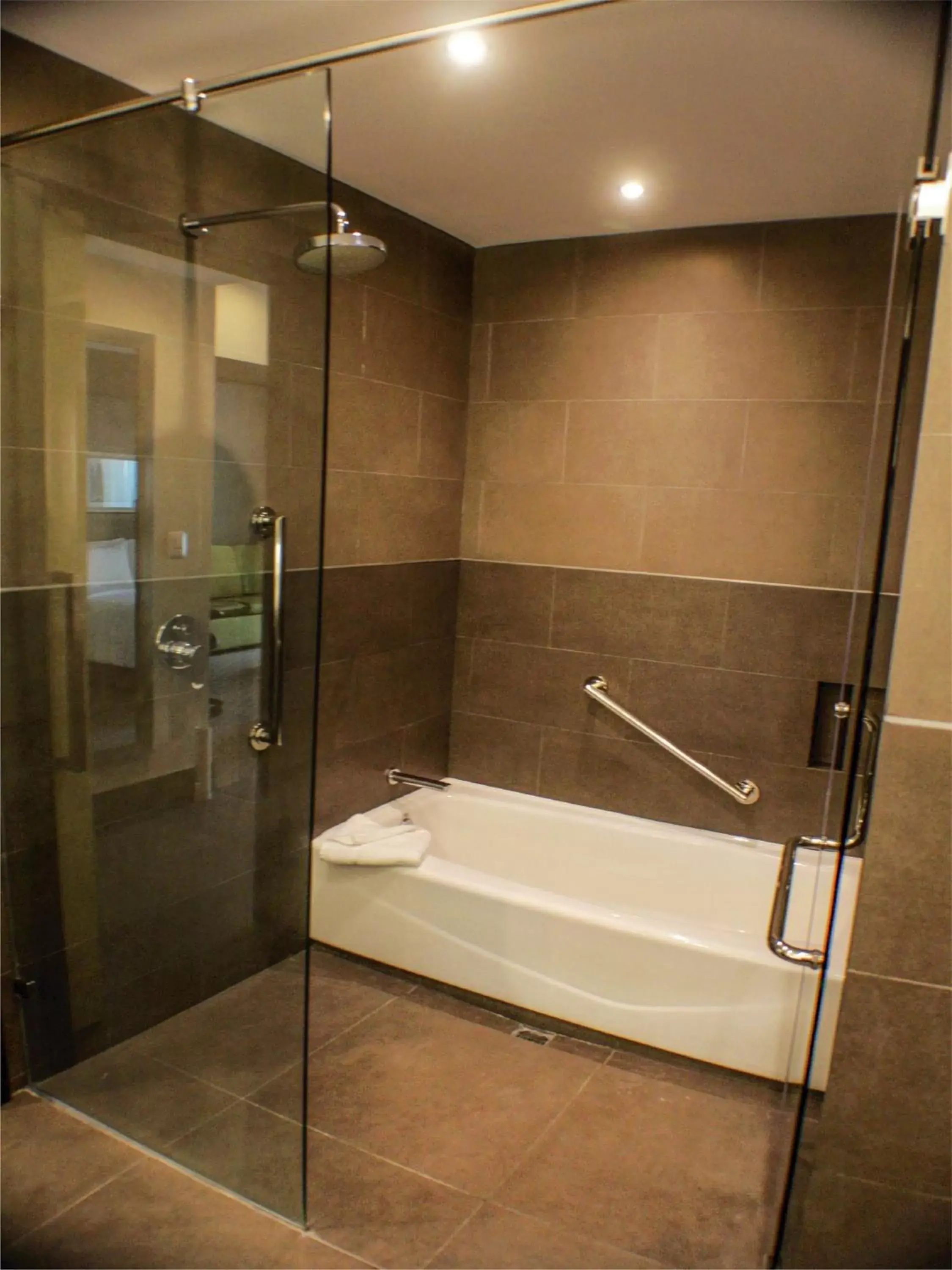 Bathroom in Hilton Garden Inn Aguascalientes