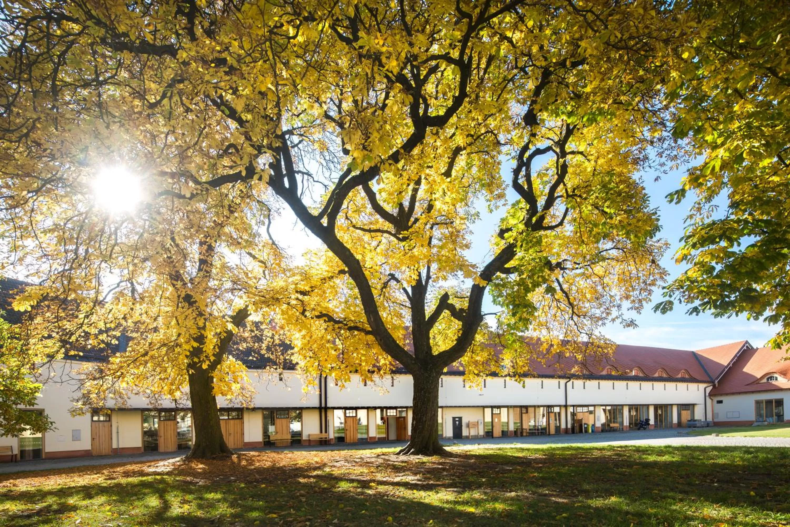 Off site in Penzion Panský dvůr Telč