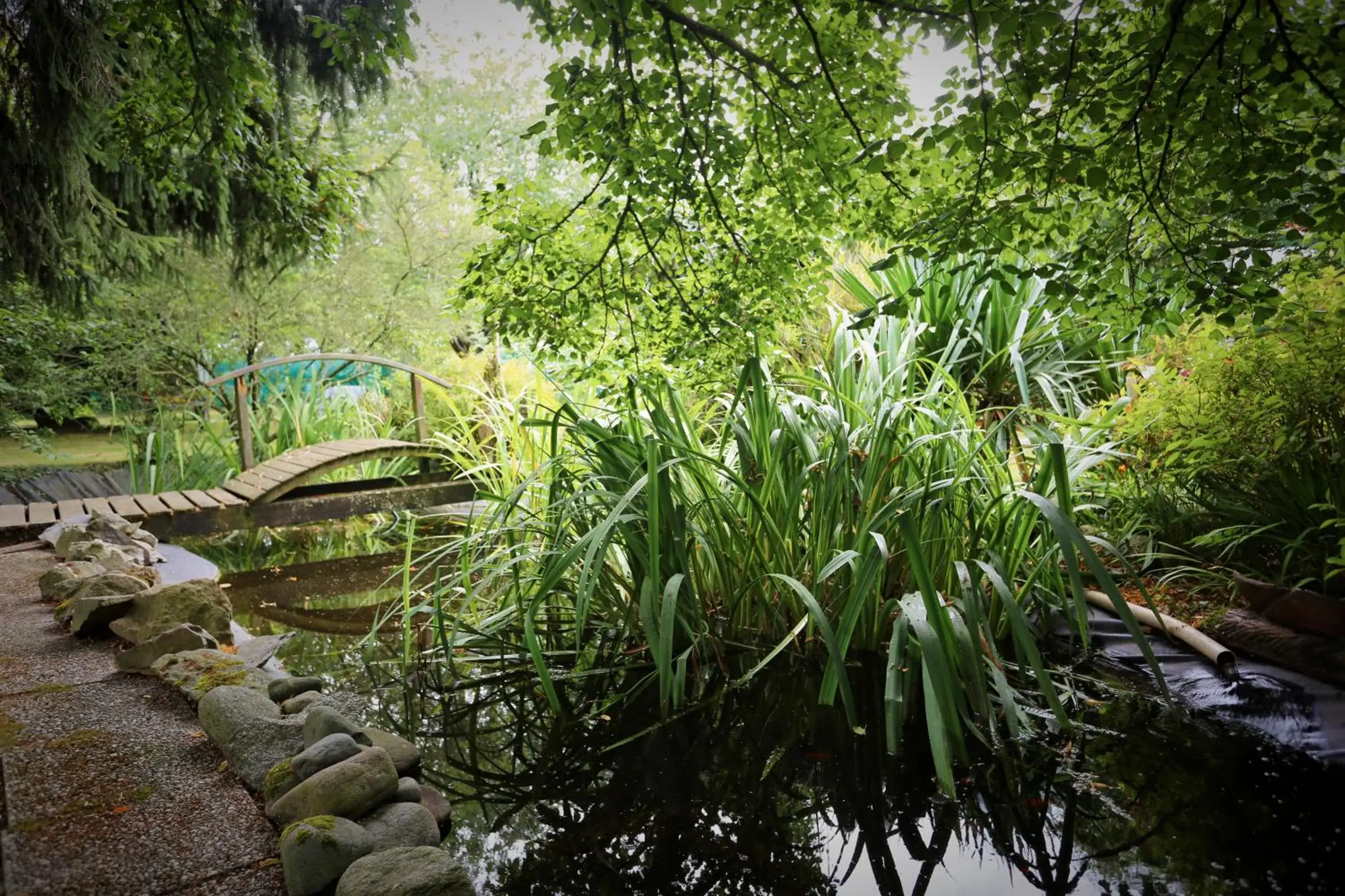 Garden in Citotel Le Clos Champel