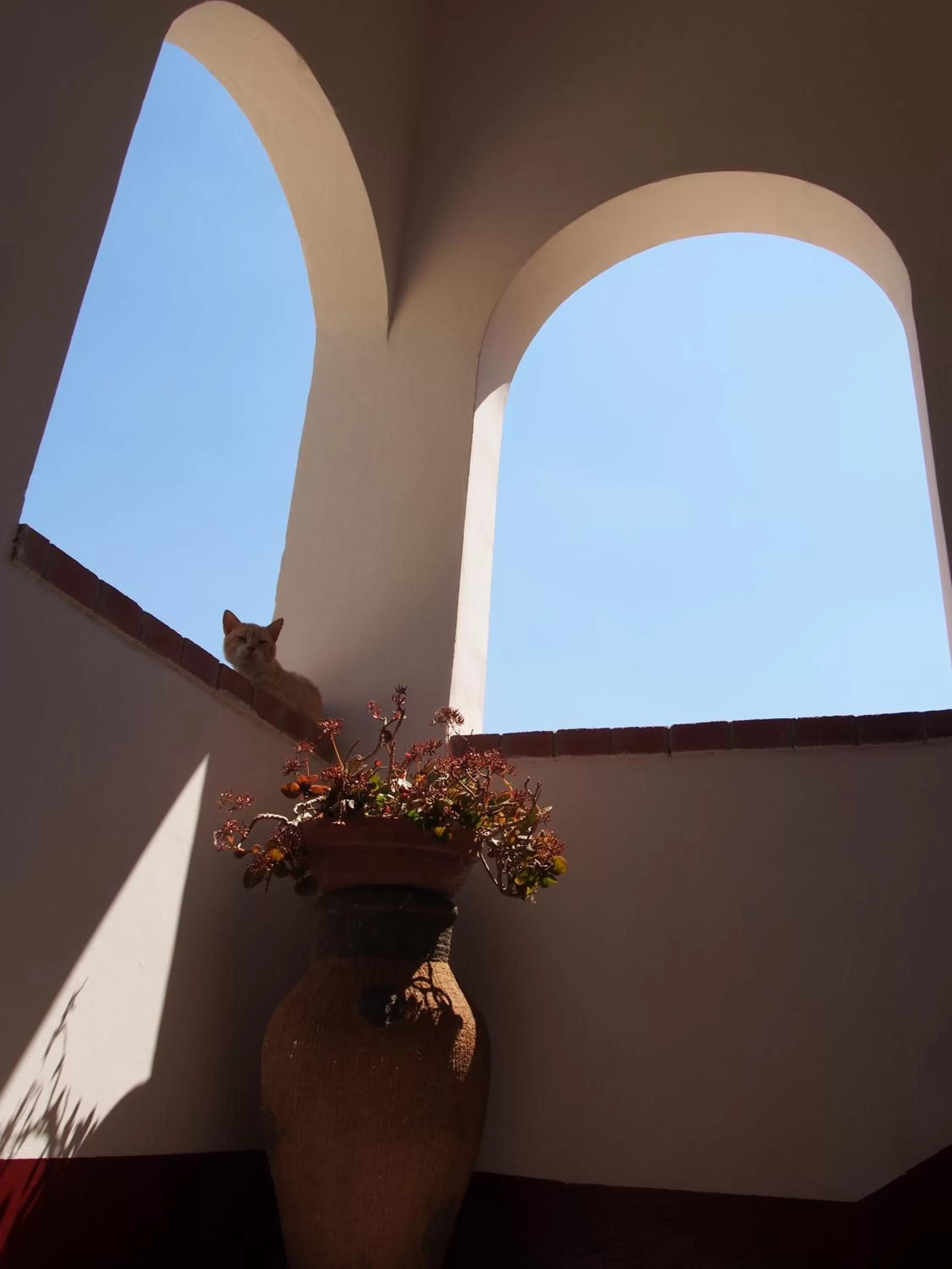 Property building in Vinciucci