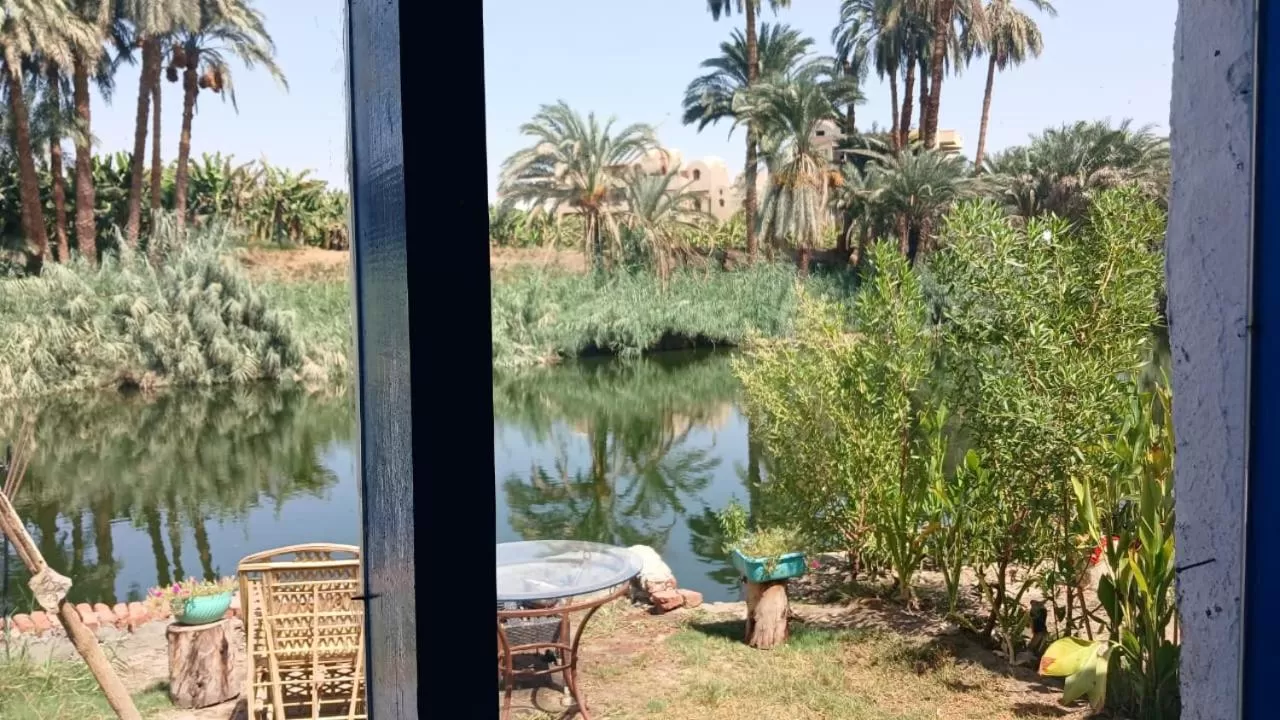 Pool View in Luxor Old Nile Hotel