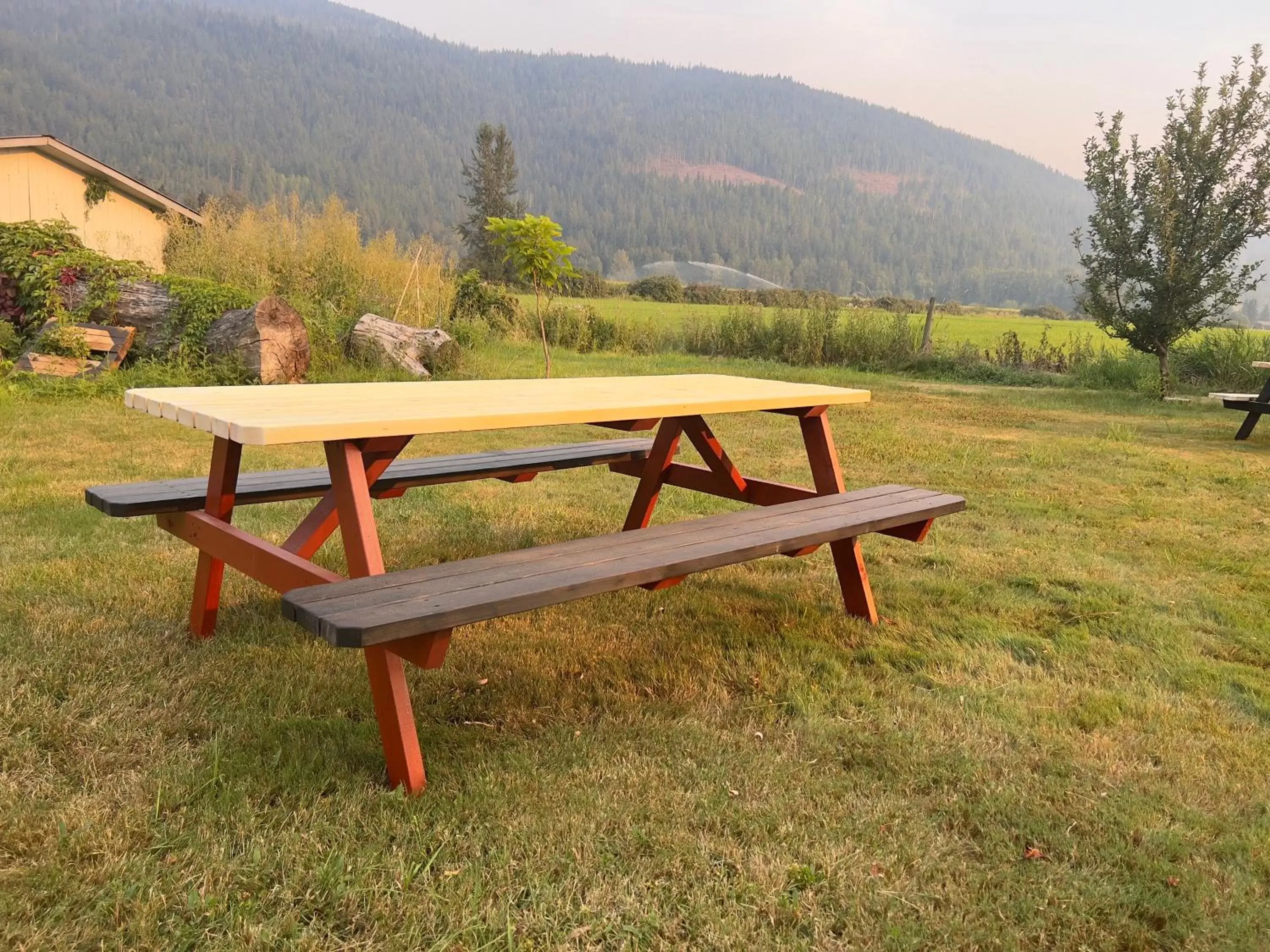 BBQ facilities in Monashee Motel