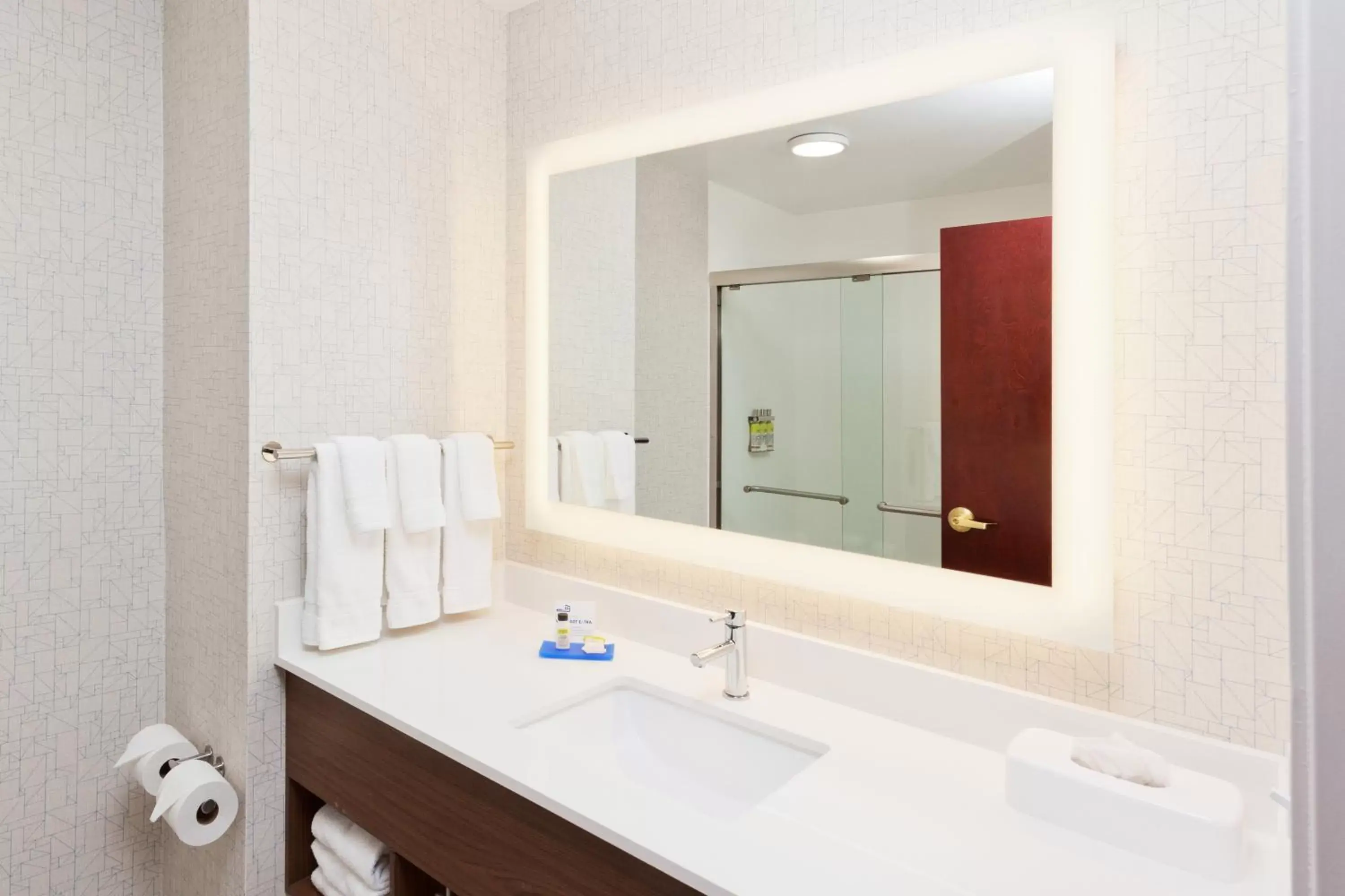 Bathroom in Holiday Inn Express Hotel & Suites Dothan North, an IHG Hotel