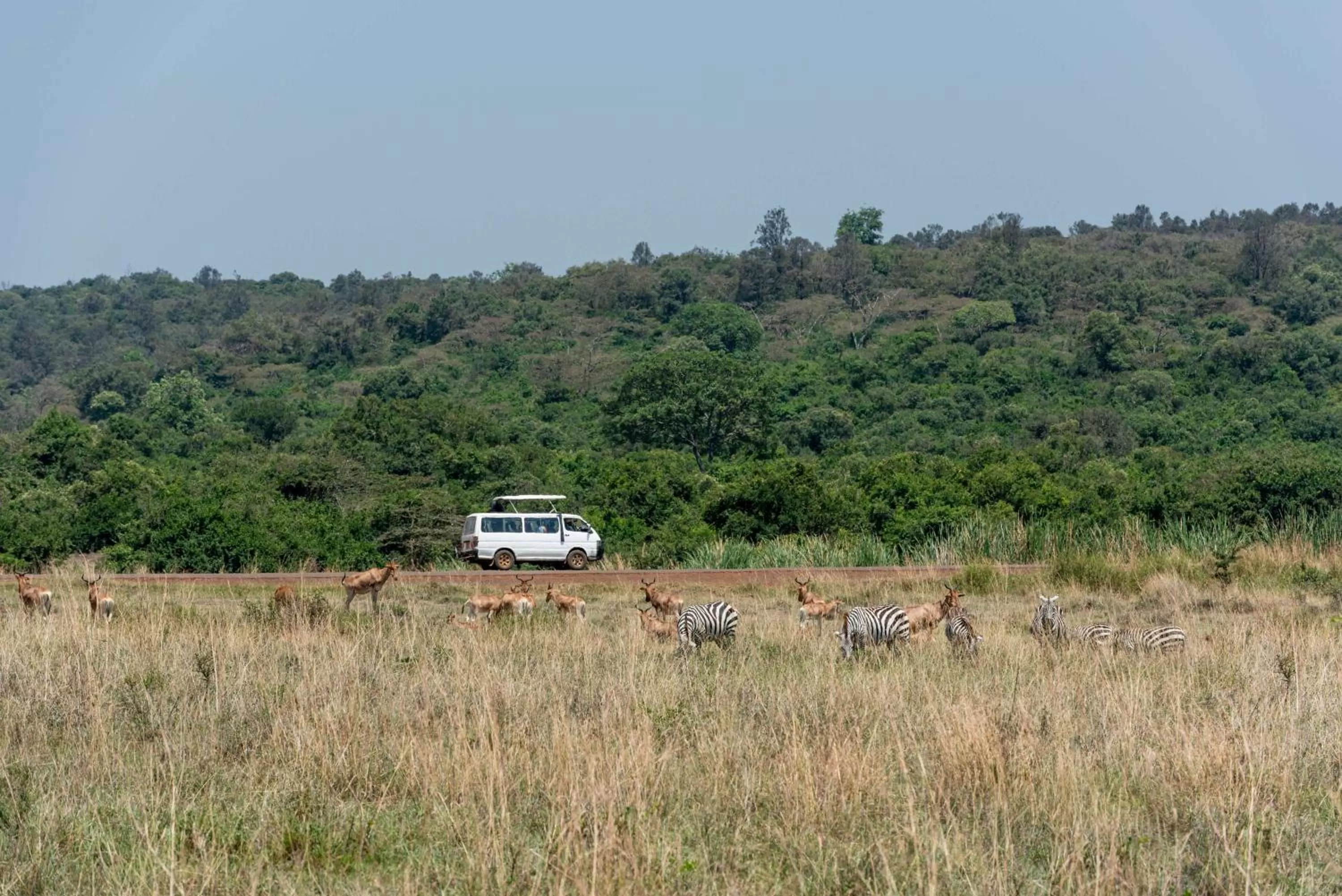 Off site in Park Inn by Radisson, Nairobi Westlands