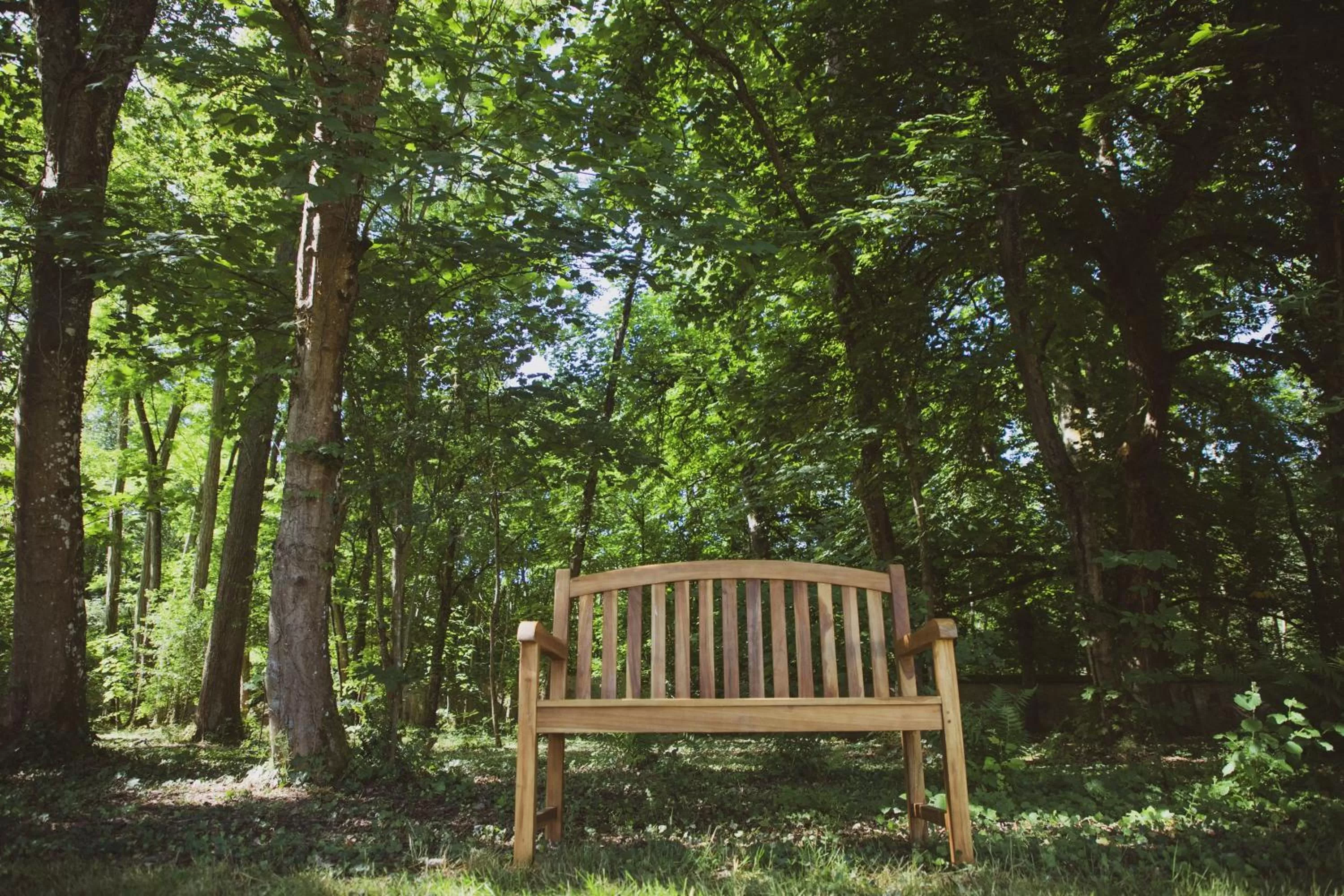 Garden view, Garden in Domaine de Montizeau