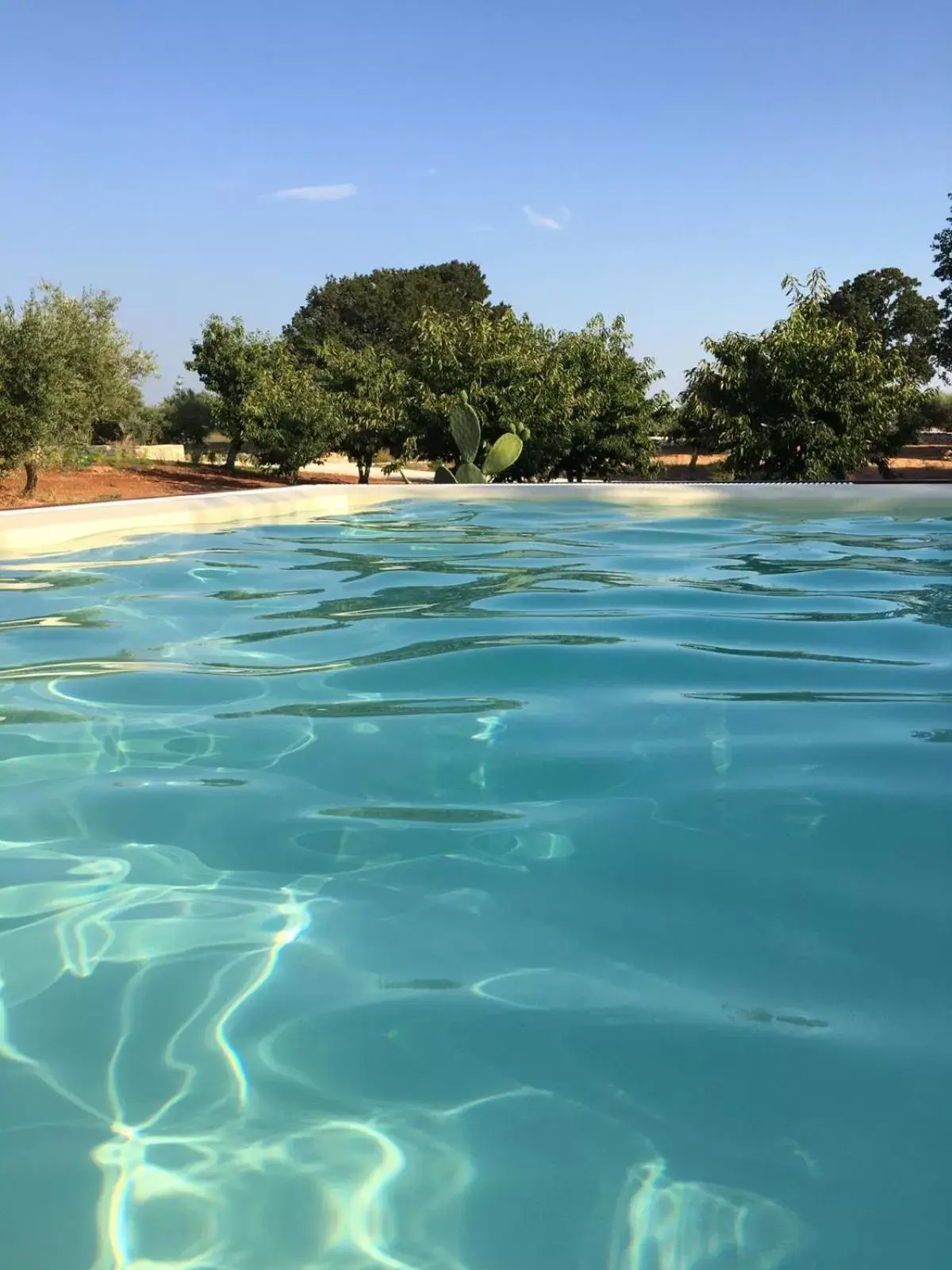 Swimming Pool in DIMORA RITUNNO