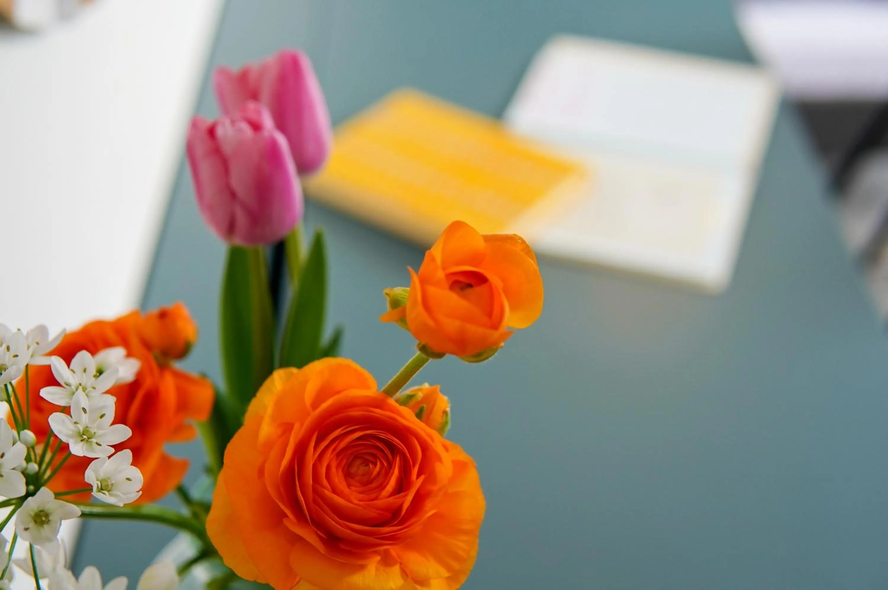 Photo of the whole room in Hostel Niniroom