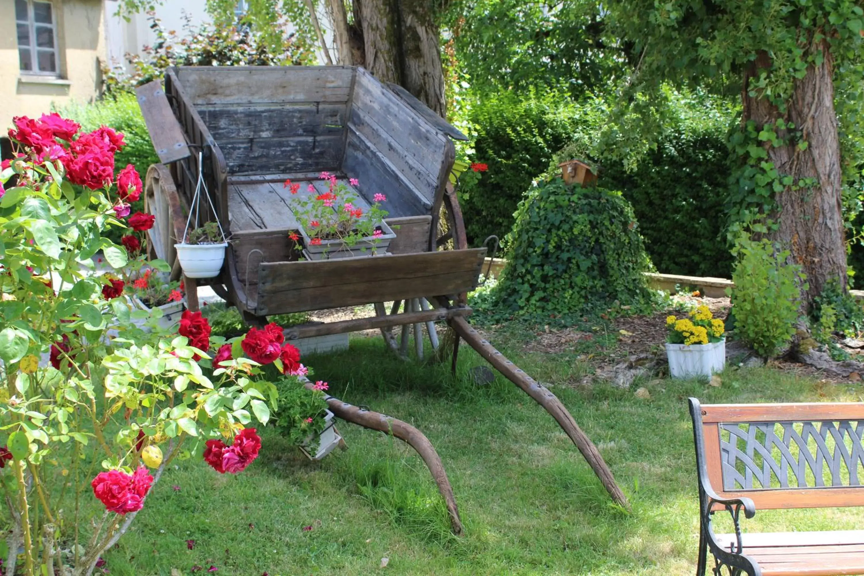 Garden in Hotel des Ducs