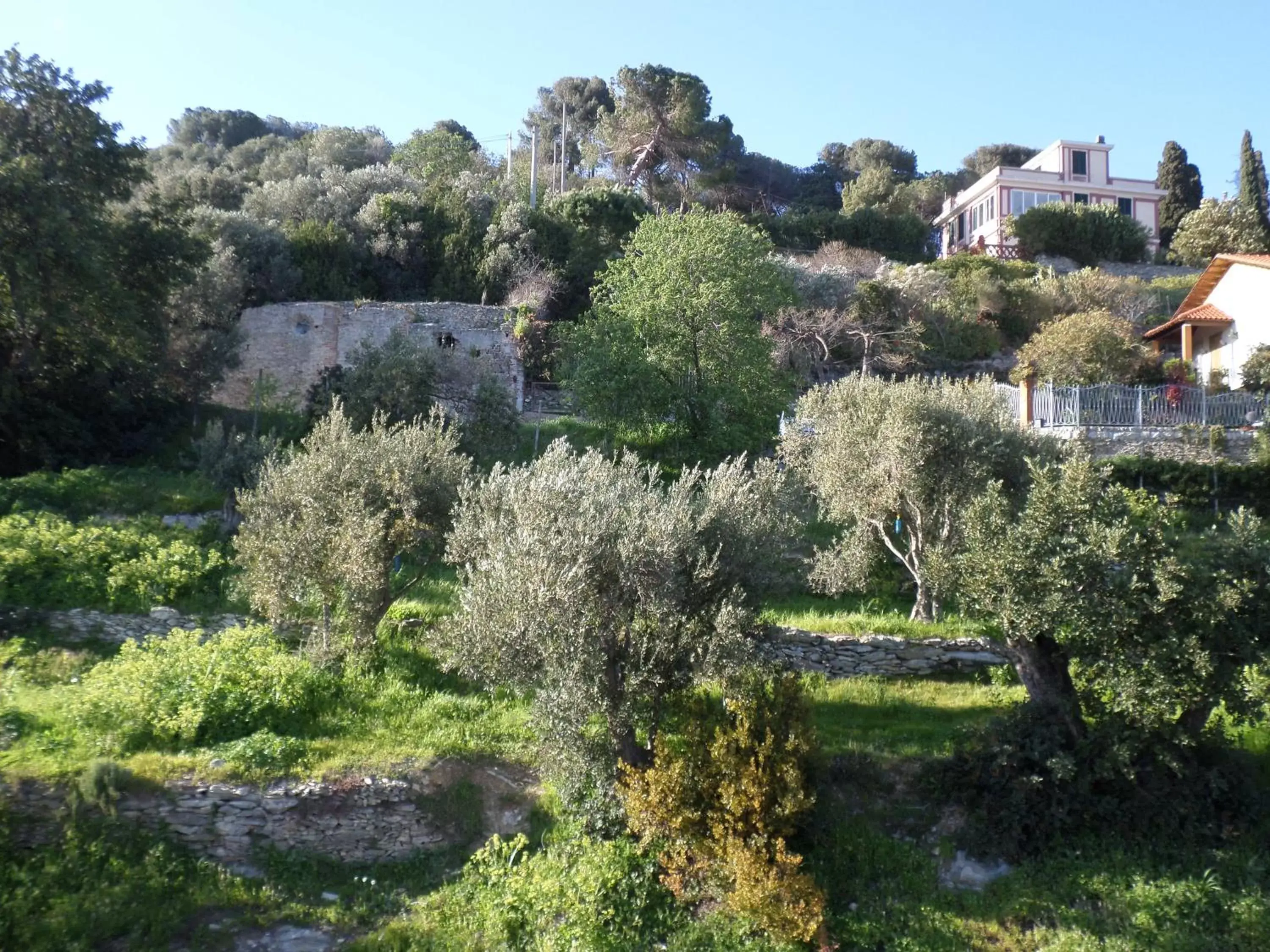 Natural landscape in VentoVerde B&B