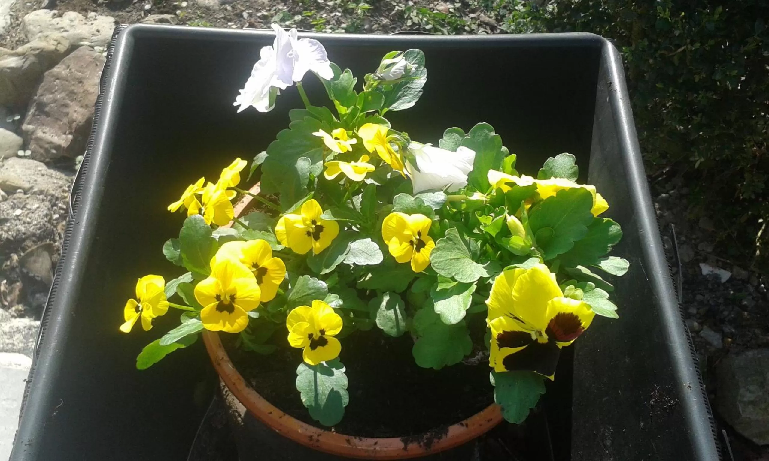 View (from property/room) in Villa Lumina