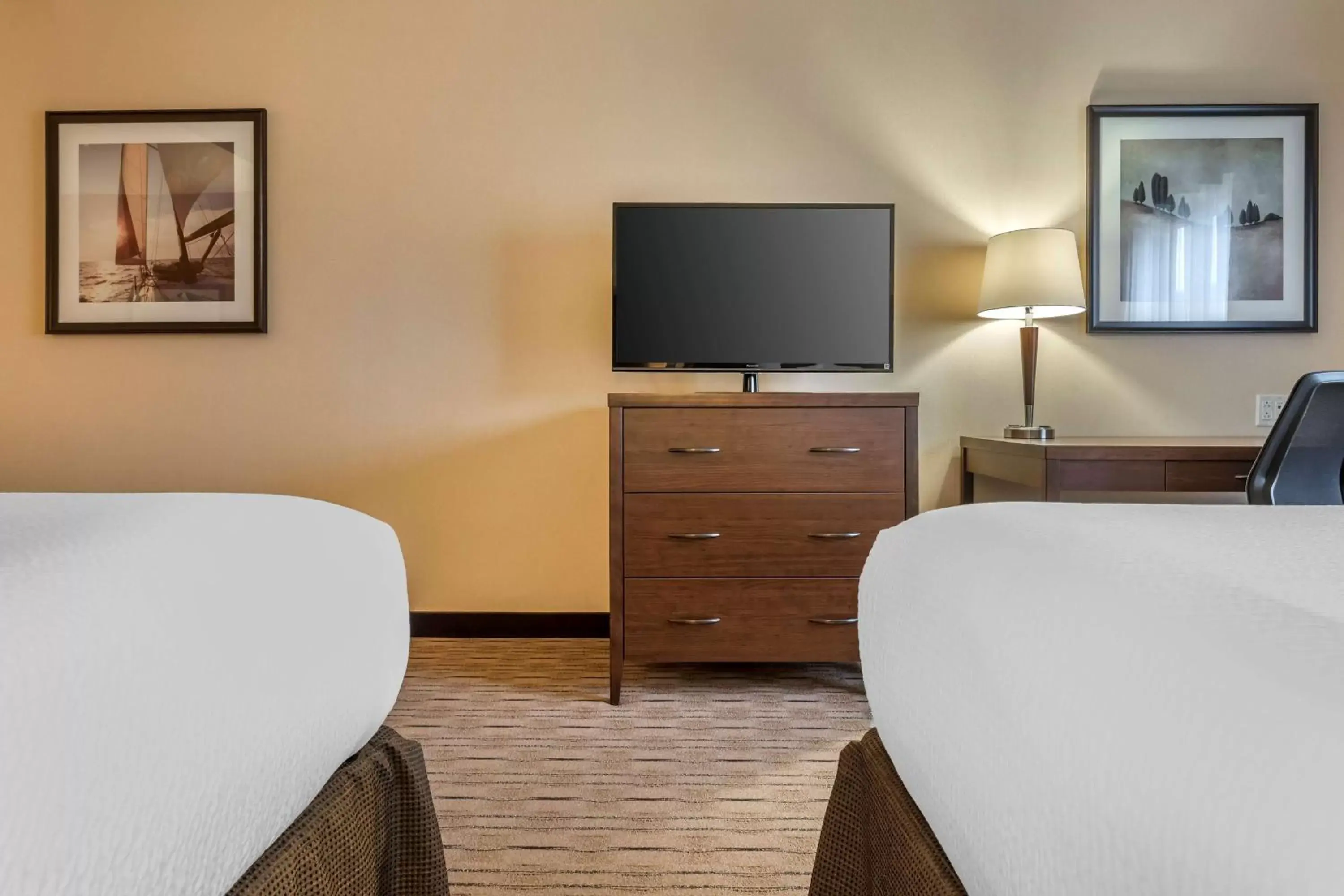 Bedroom, TV/Entertainment Center in Best Western Plus, Bathurst Hotel & Suites