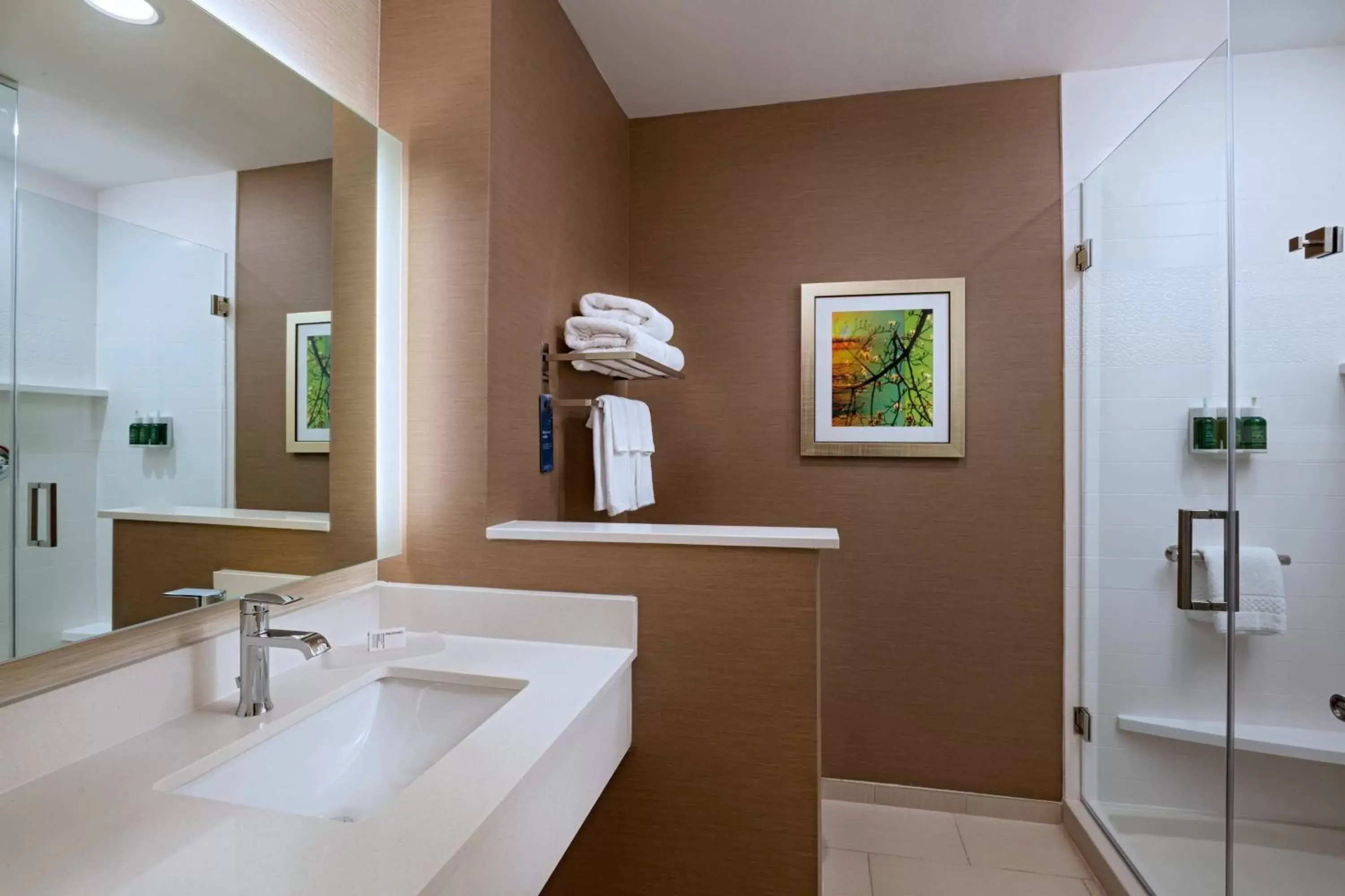 Bathroom in Fairfield Inn & Suites Houston Richmond