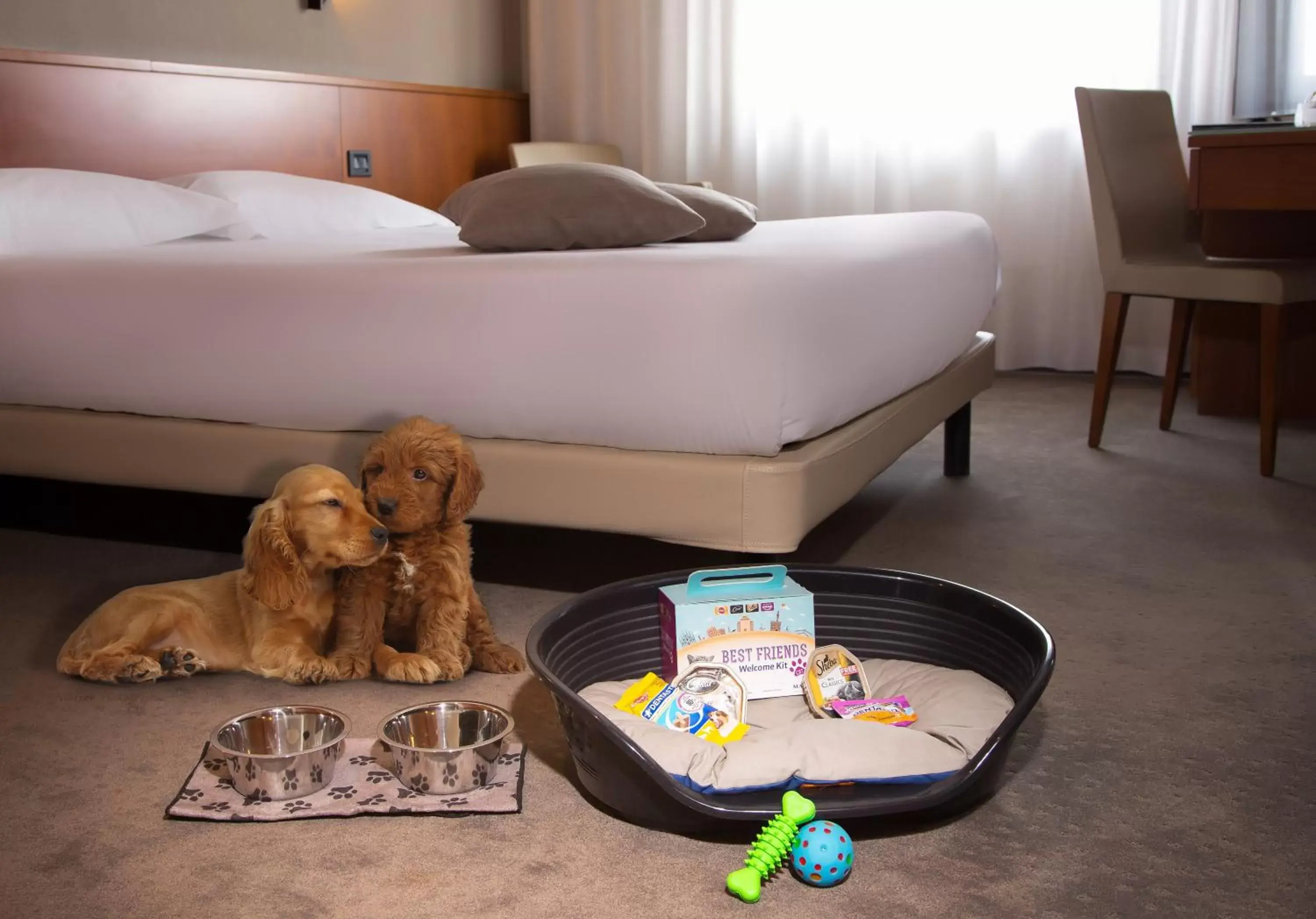 Pets, Bed in Best Western Hotel Turismo