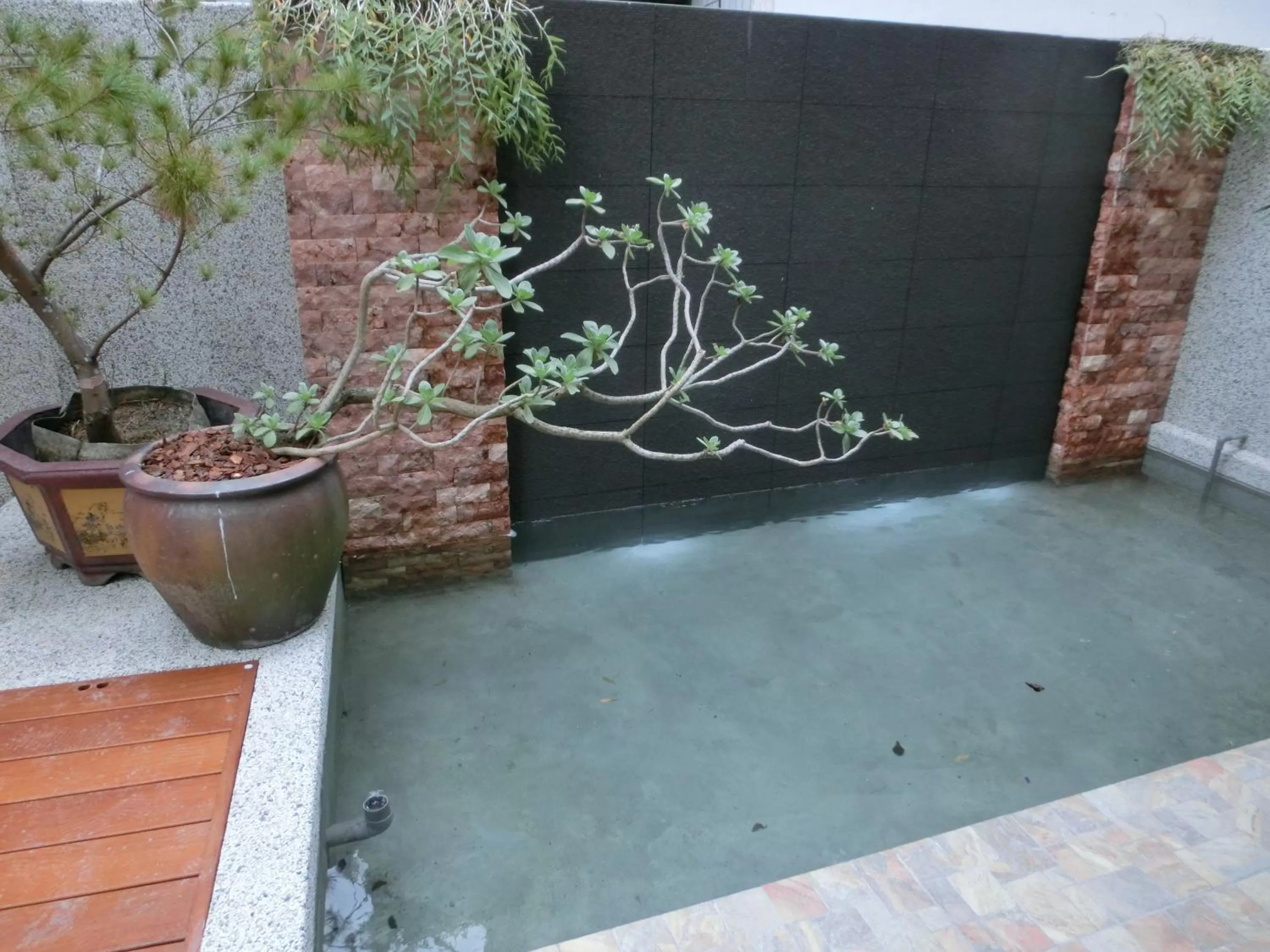 Other in Chiyafonchin B&B