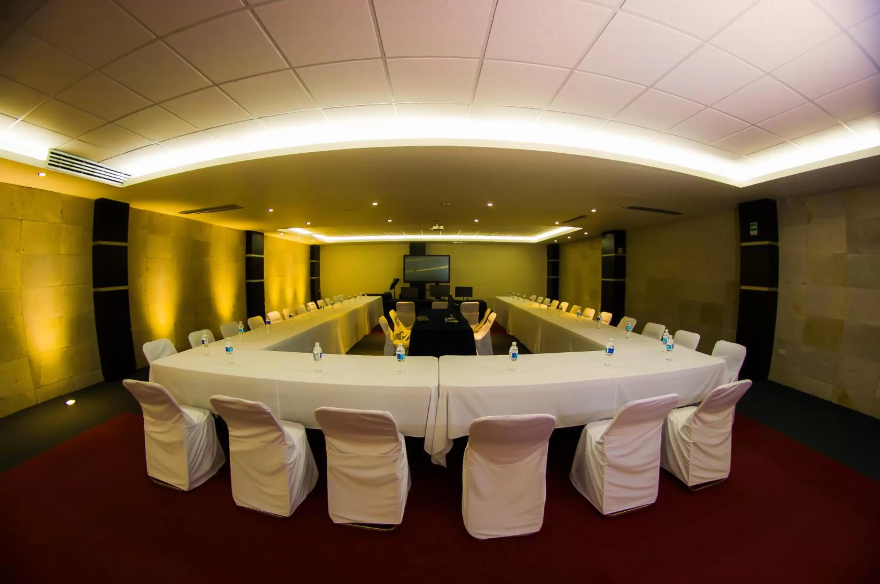 Meeting/conference room in Wyndham Garden Aguascalientes Hotel & Casino
