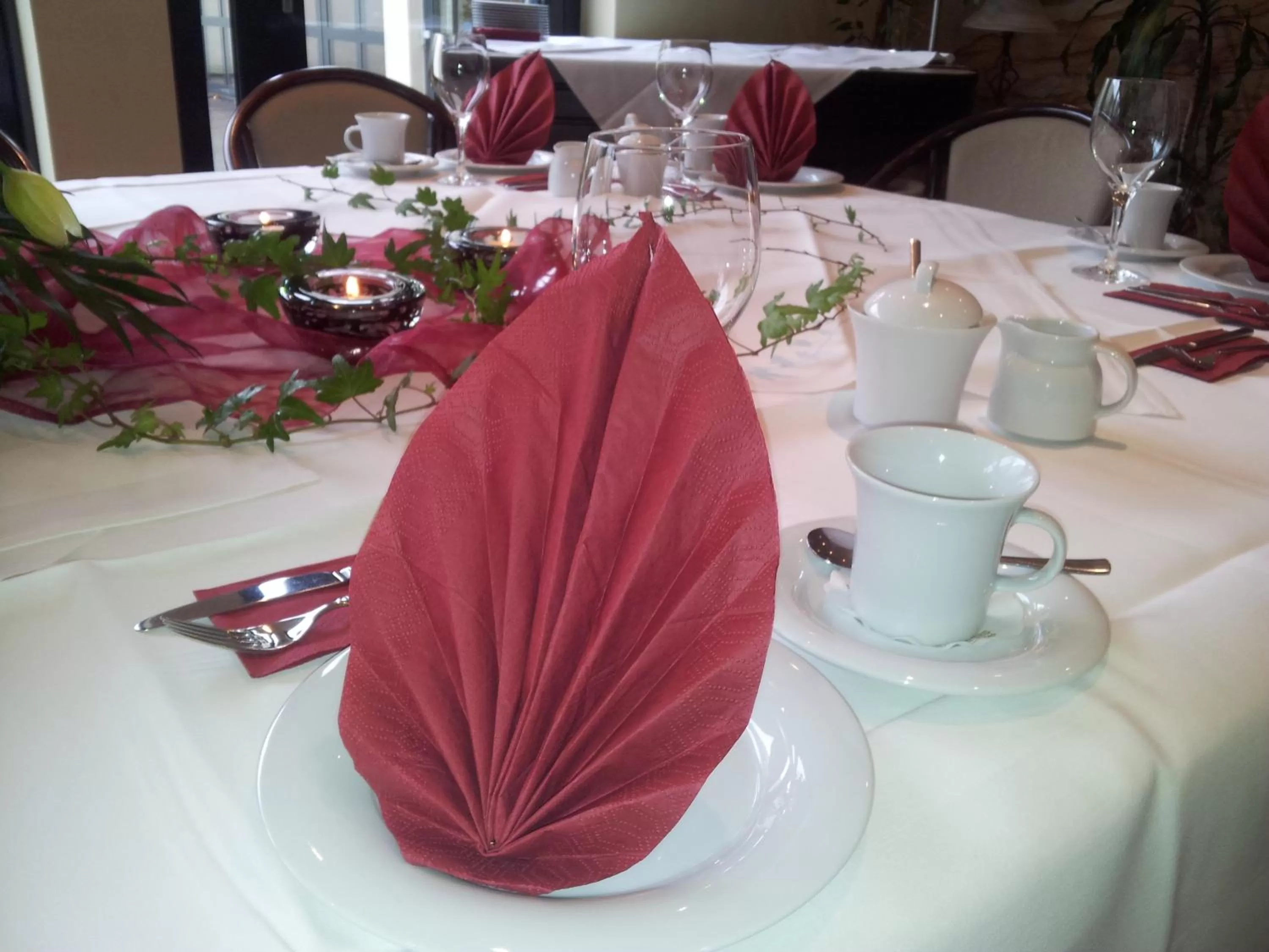 Restaurant/places to eat in Hotel Balneolum Superior