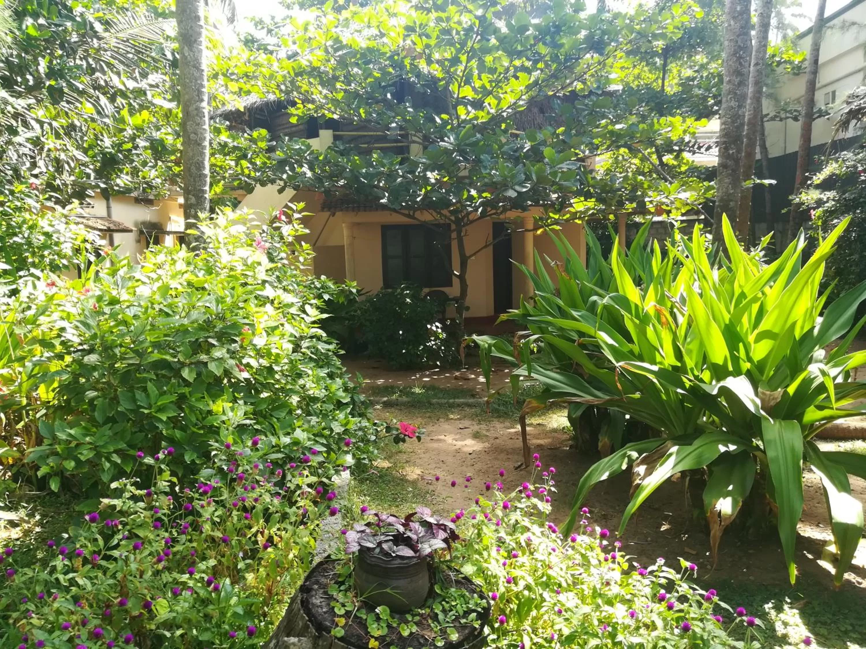 Garden in Sukriti beach Resort
