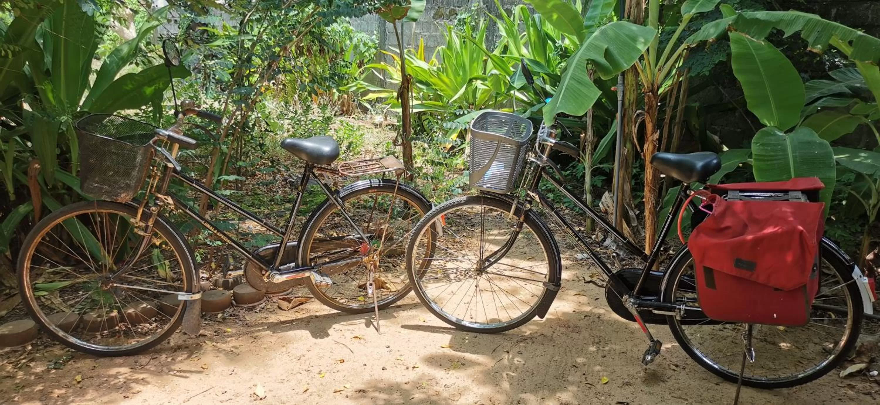 Cycling, Other Activities in Blackstar Inn