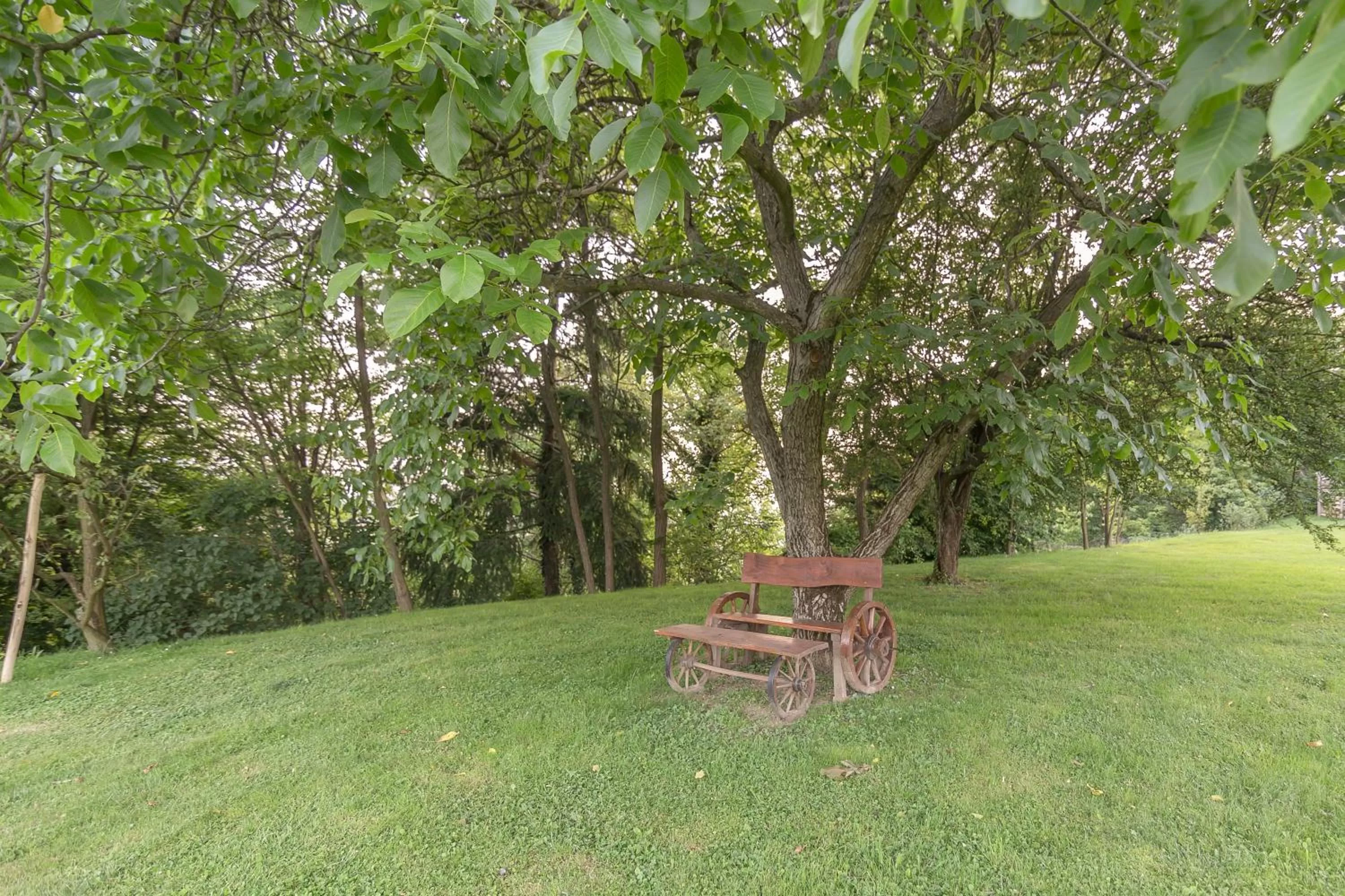 Other in Panorama B&B