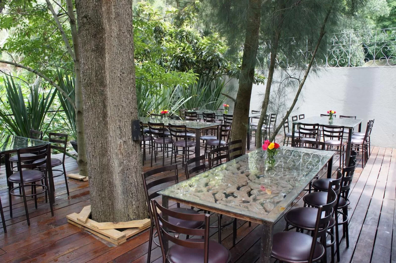 Day in Casa Tepoztlán