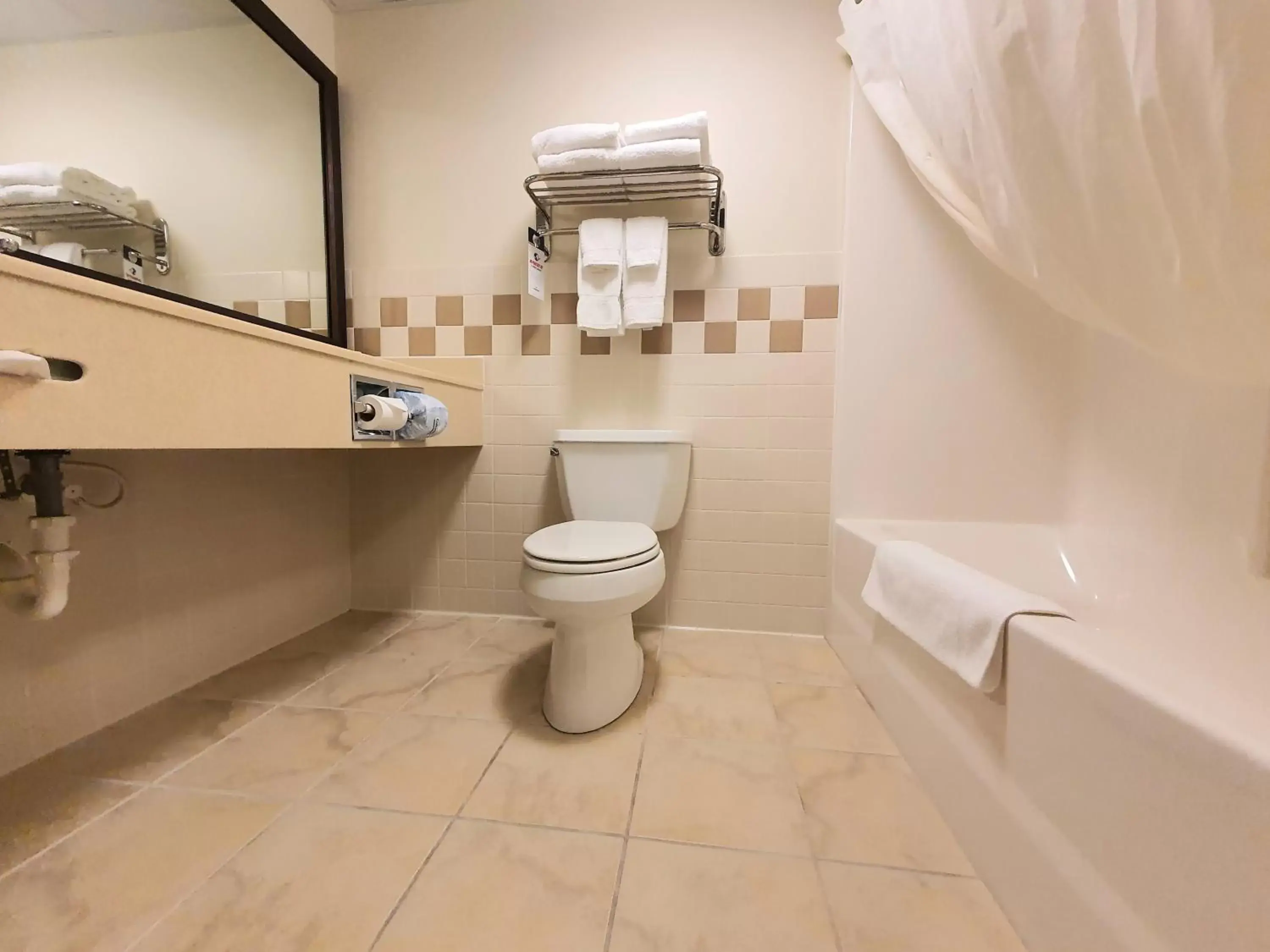 Bathroom in AmeriVu Inn and Suites - Waconia