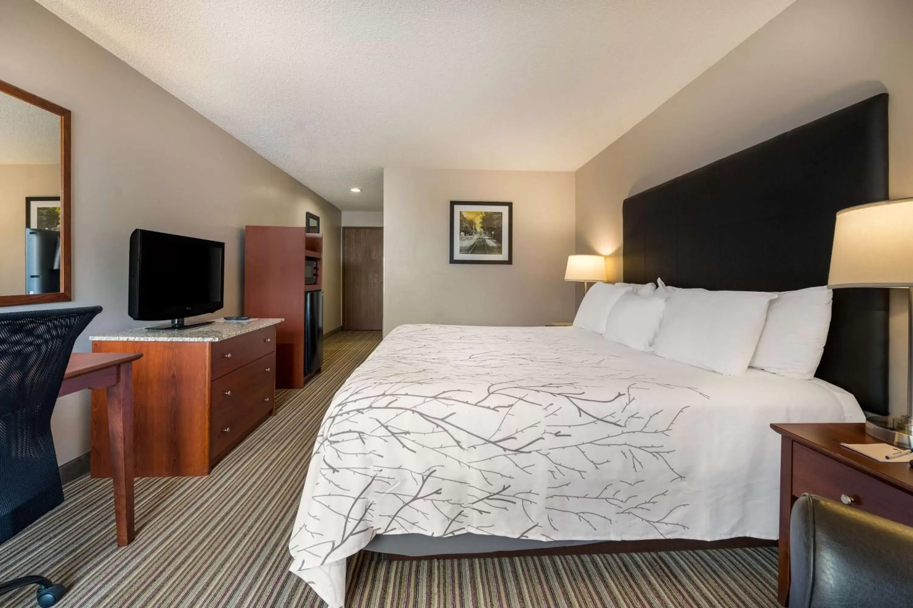 Queen Room with Two Queen Beds with Roll-In Shower - Mobility Accessible/Non-Smoking in Best Western Park Oasis Inn Queen Room with Two Queen Beds with Roll-In Shower - Mobility Accessible/Non-Smoking in Best Western Park Oasis Inn