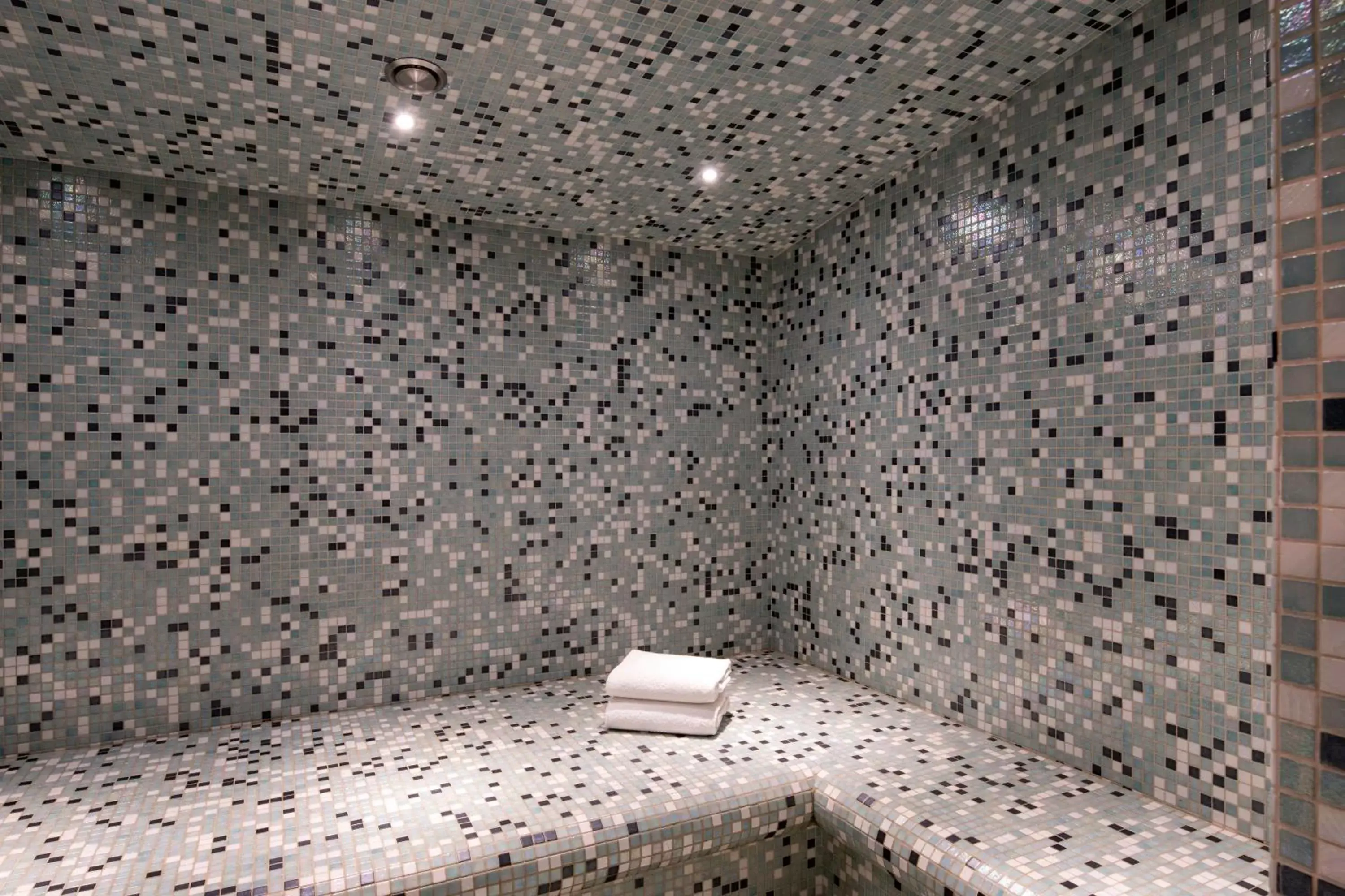 Steam room in Crowne Plaza Antwerpen, an IHG Hotel