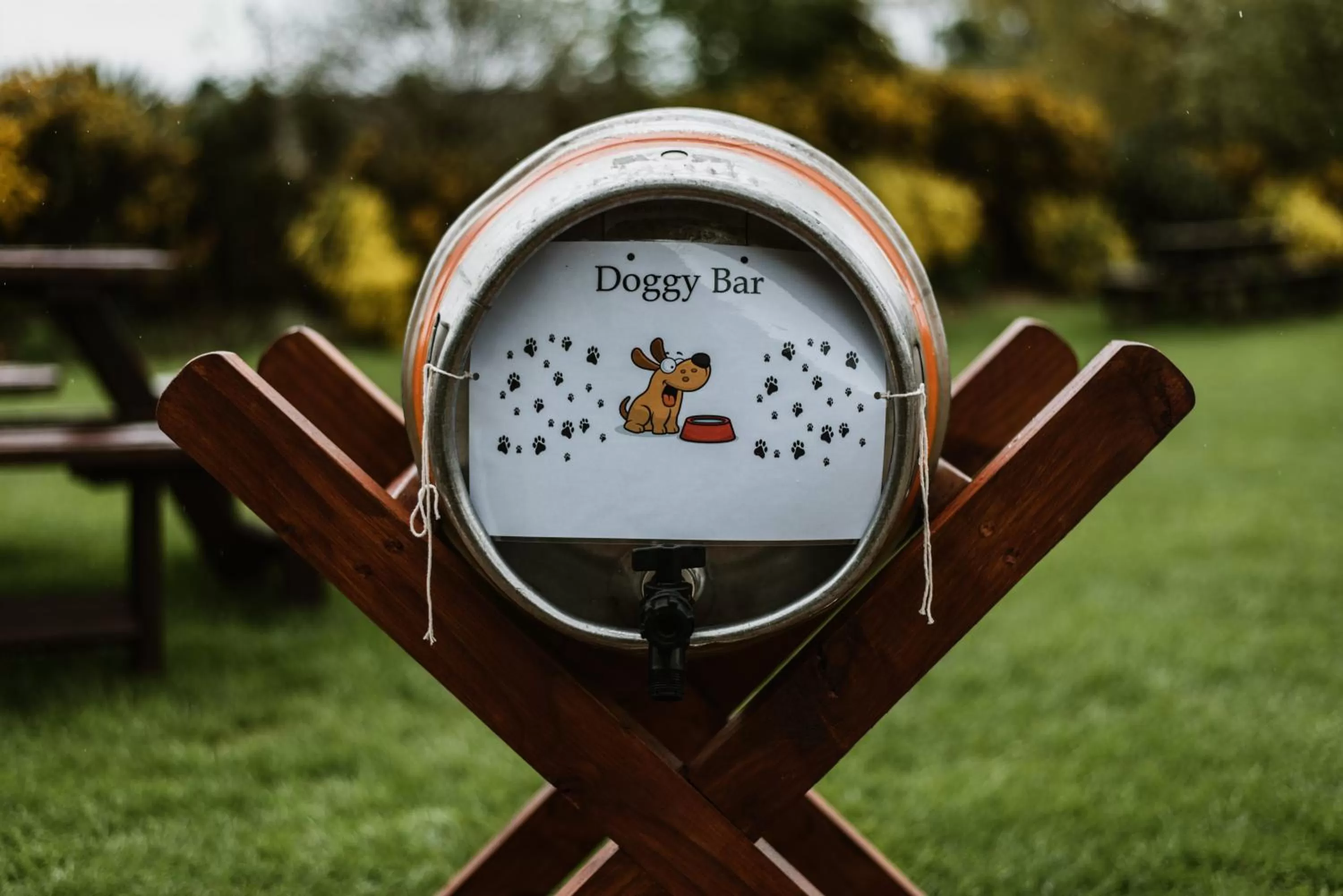 Garden in South Causey Inn