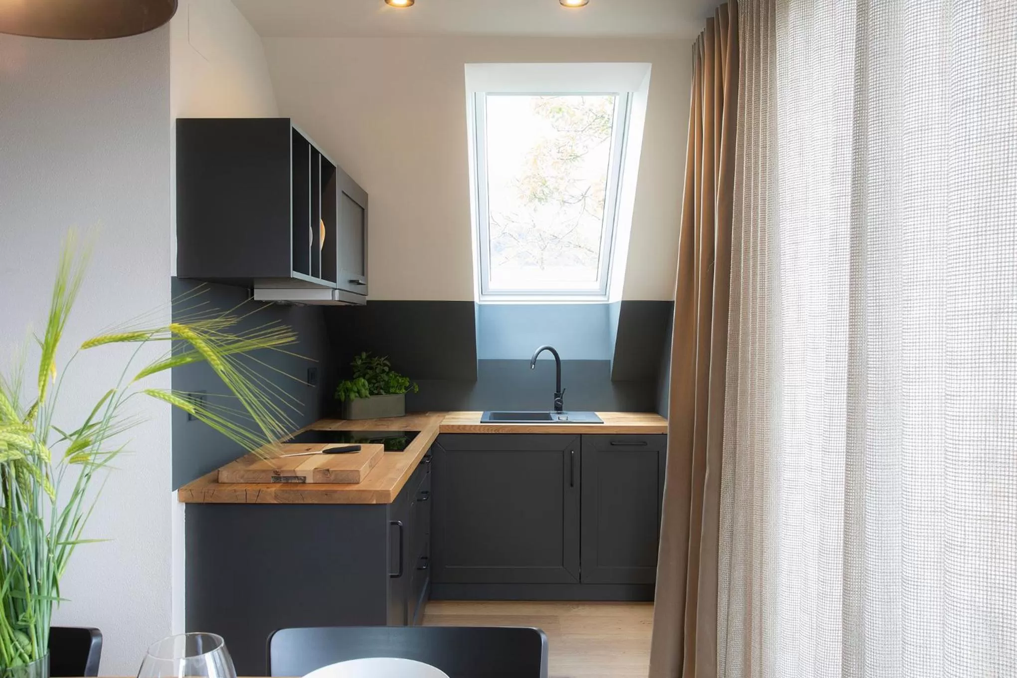 Kitchen or kitchenette in House Troha - Rooms & Apartments