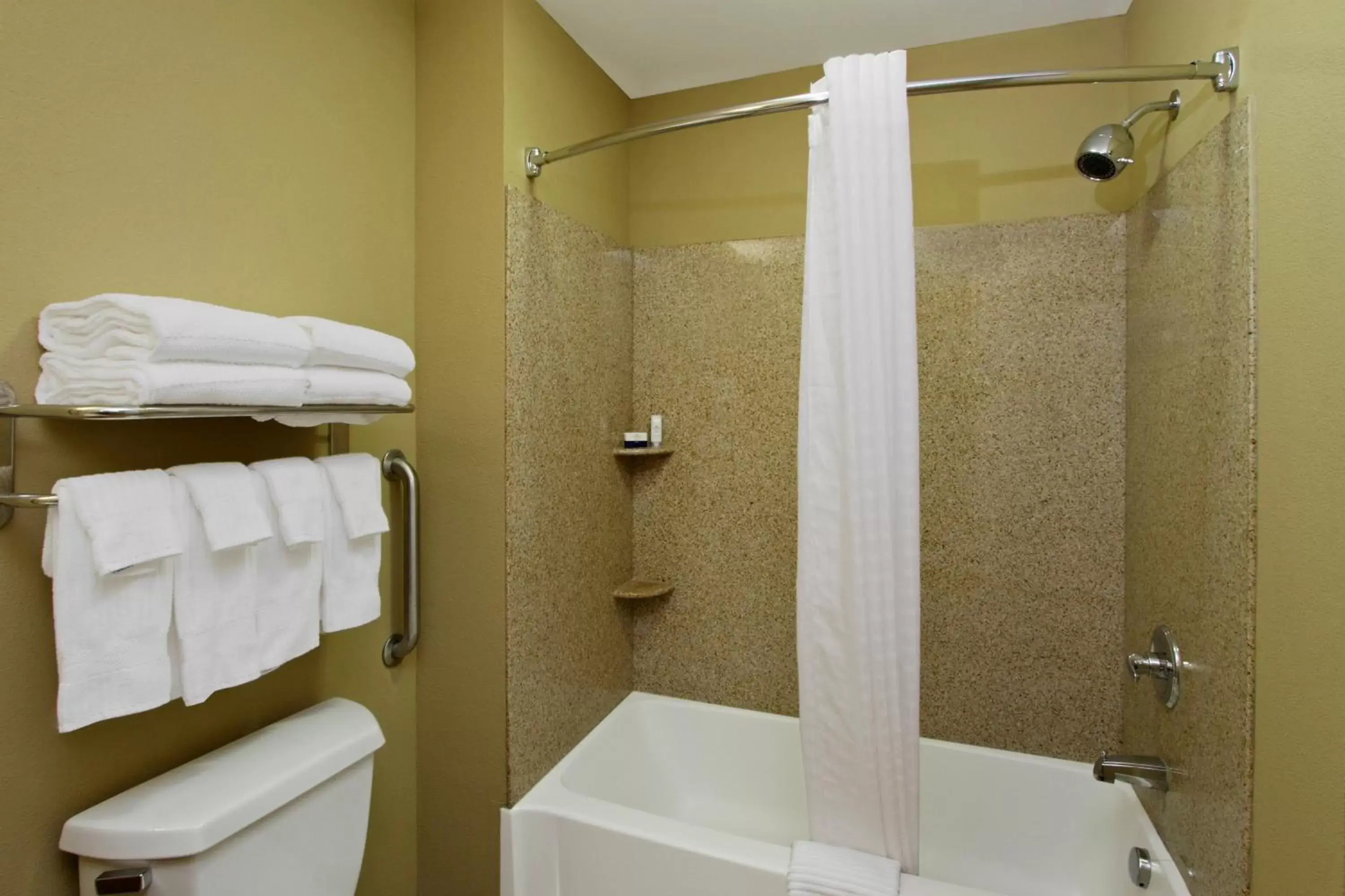 Bathroom in Candlewood Suites Norfolk Airport, an IHG Hotel