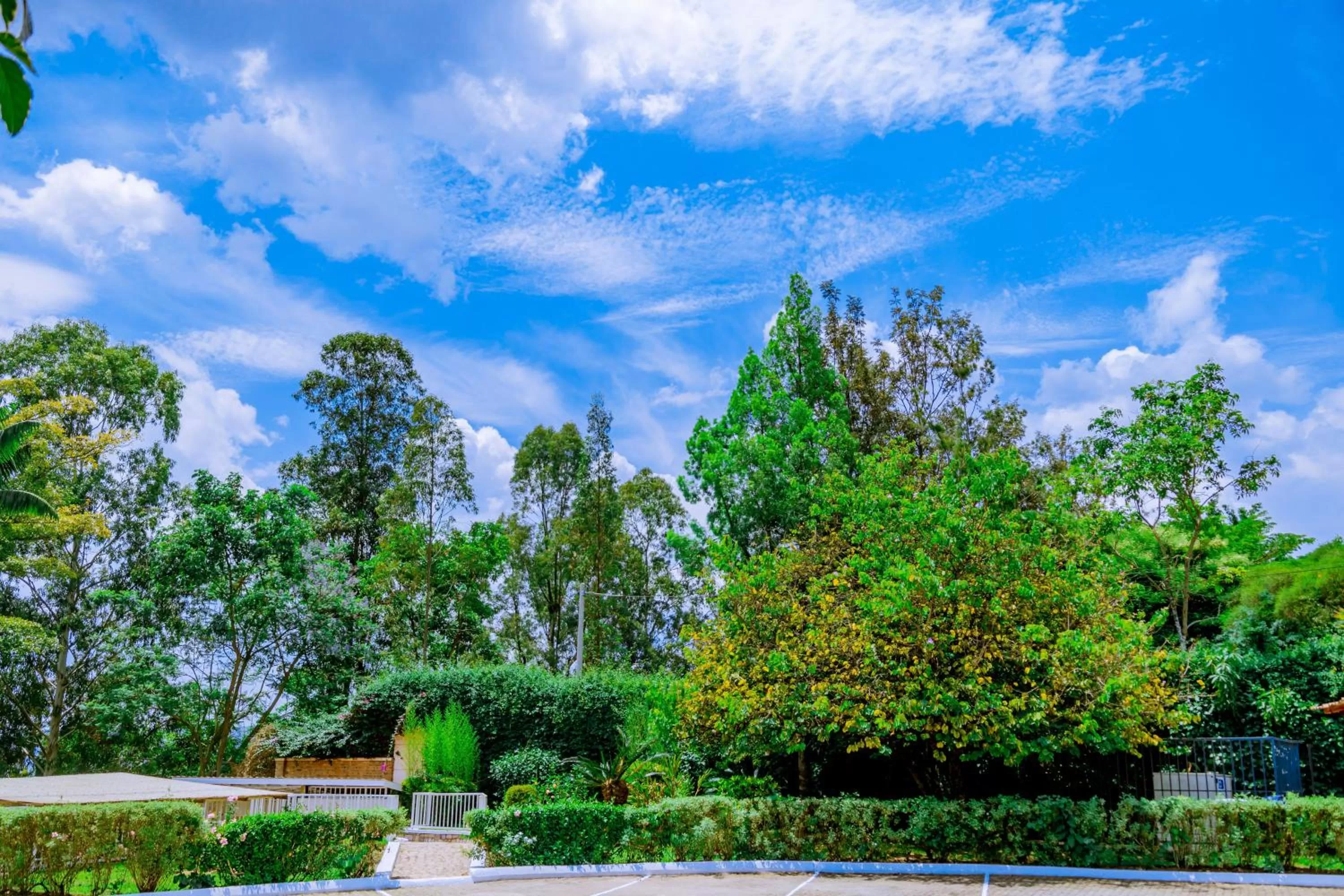 Day in Nature Kigali