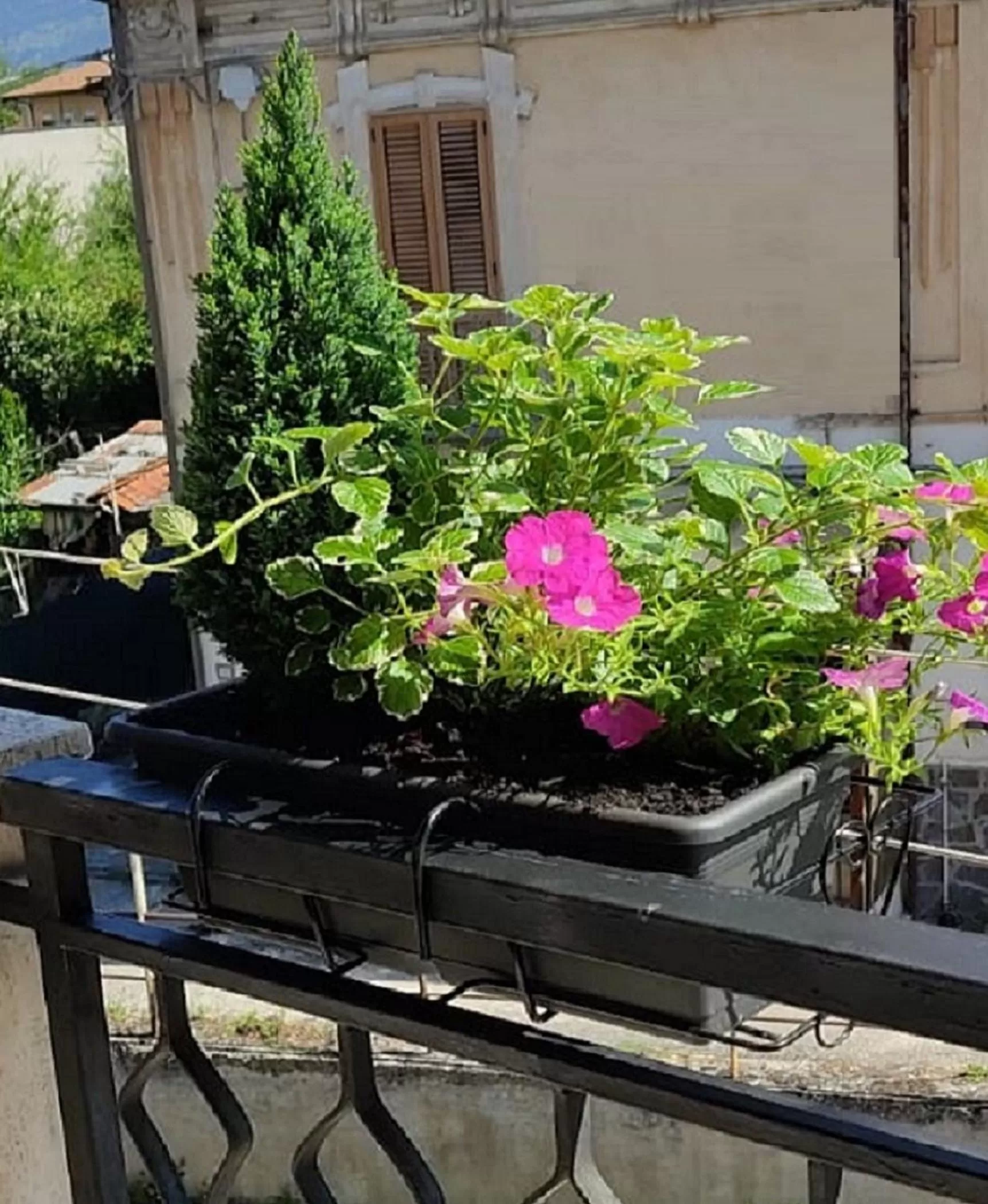 Balcony/Terrace in B&B Residence Armonia Sulmona