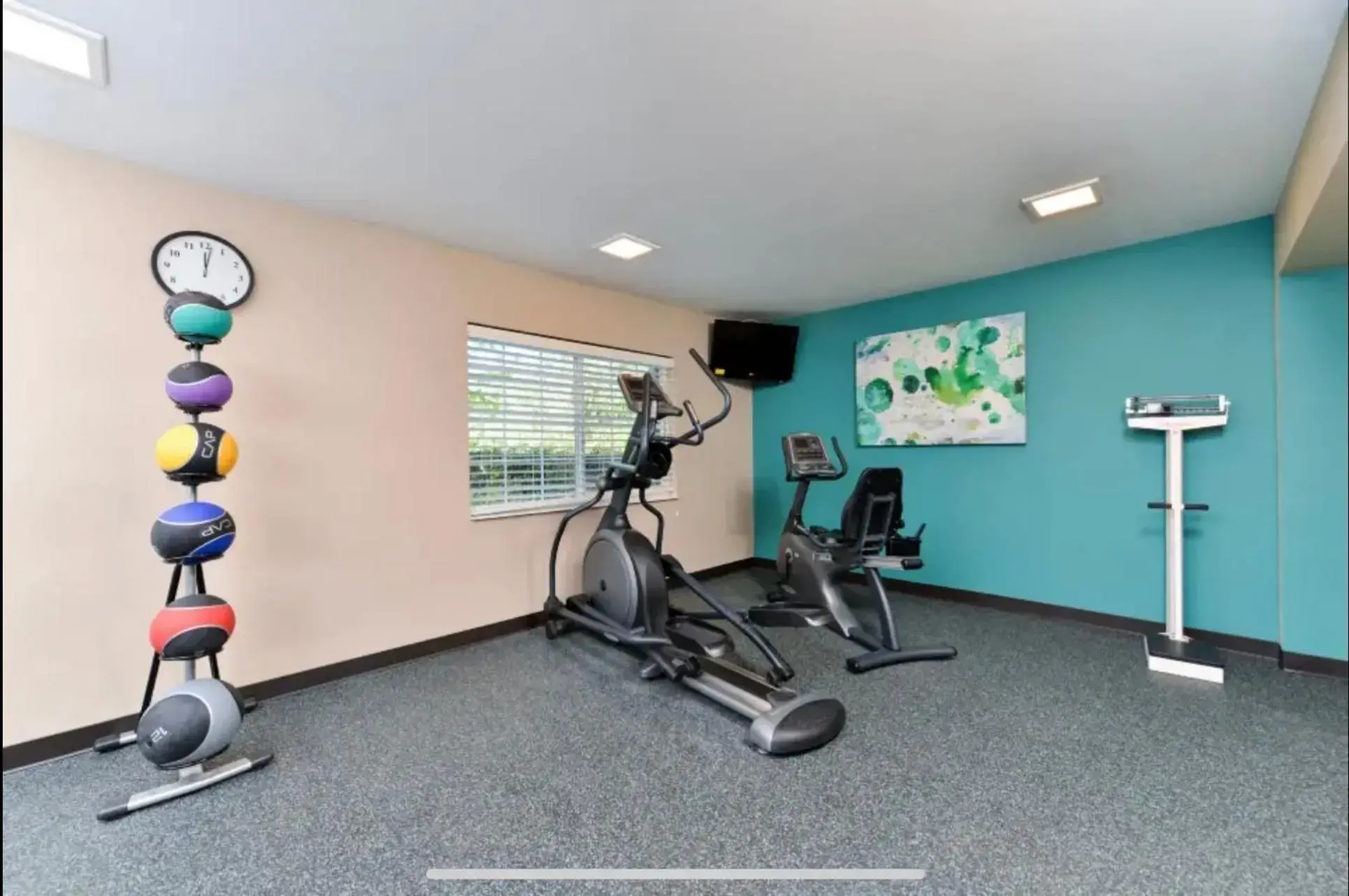 Fitness centre/facilities, Fitness Center/Facilities in Red Roof Inn PLUS & Suites Tampa
