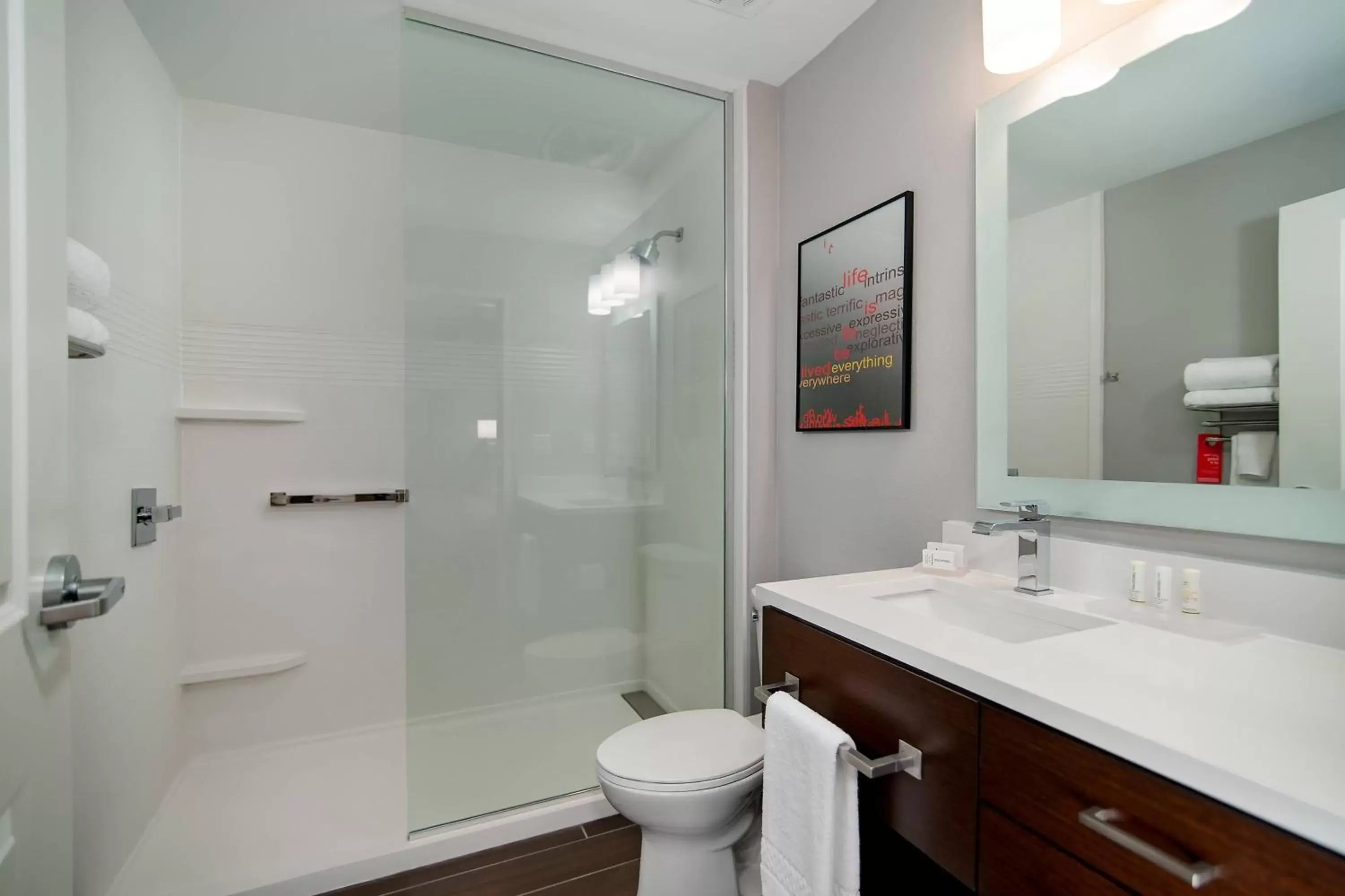 Bathroom in TownePlace Suites Fort Worth University Area/Medical Center