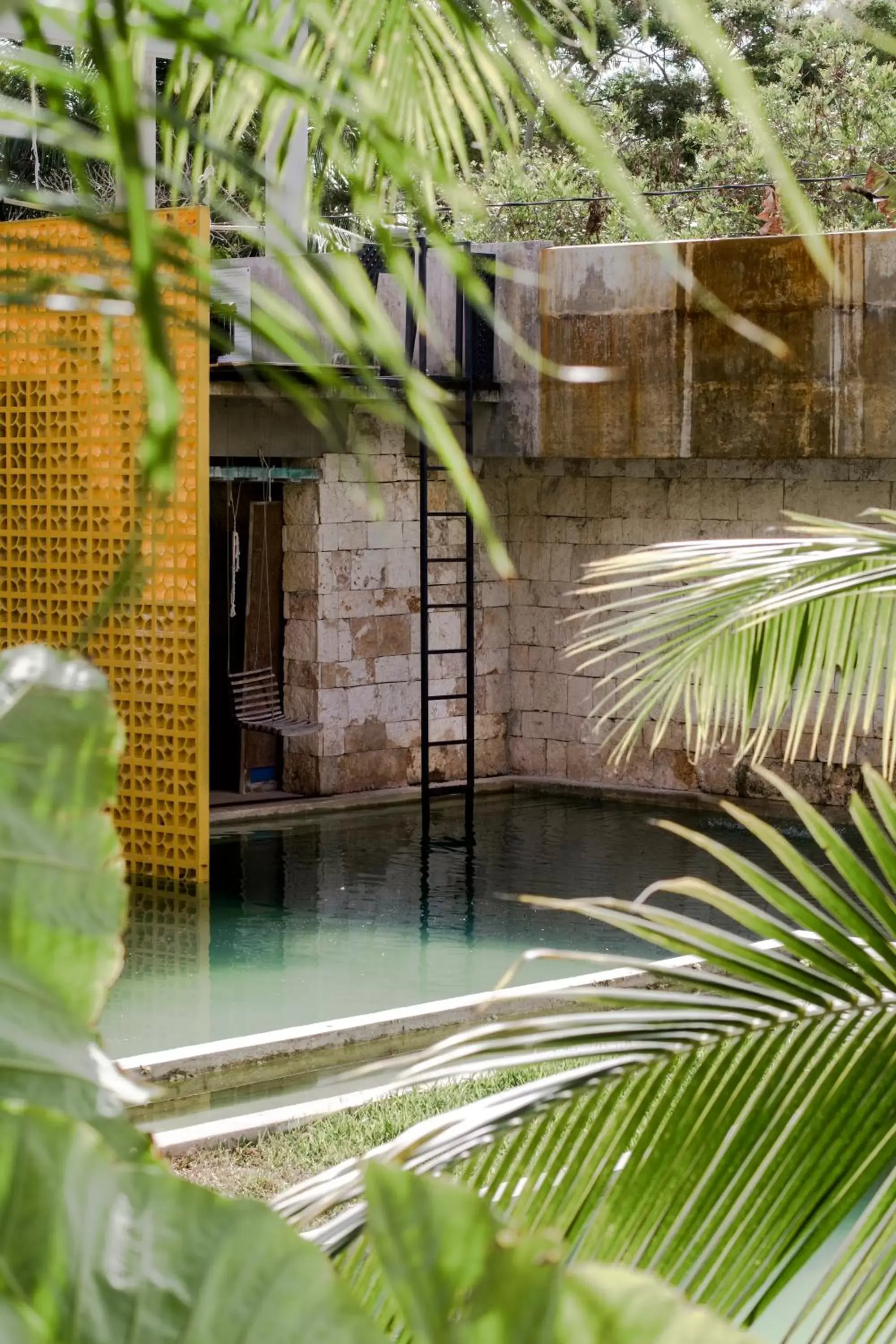 Patio, Swimming Pool in Hotel Makaabá Eco-Boutique