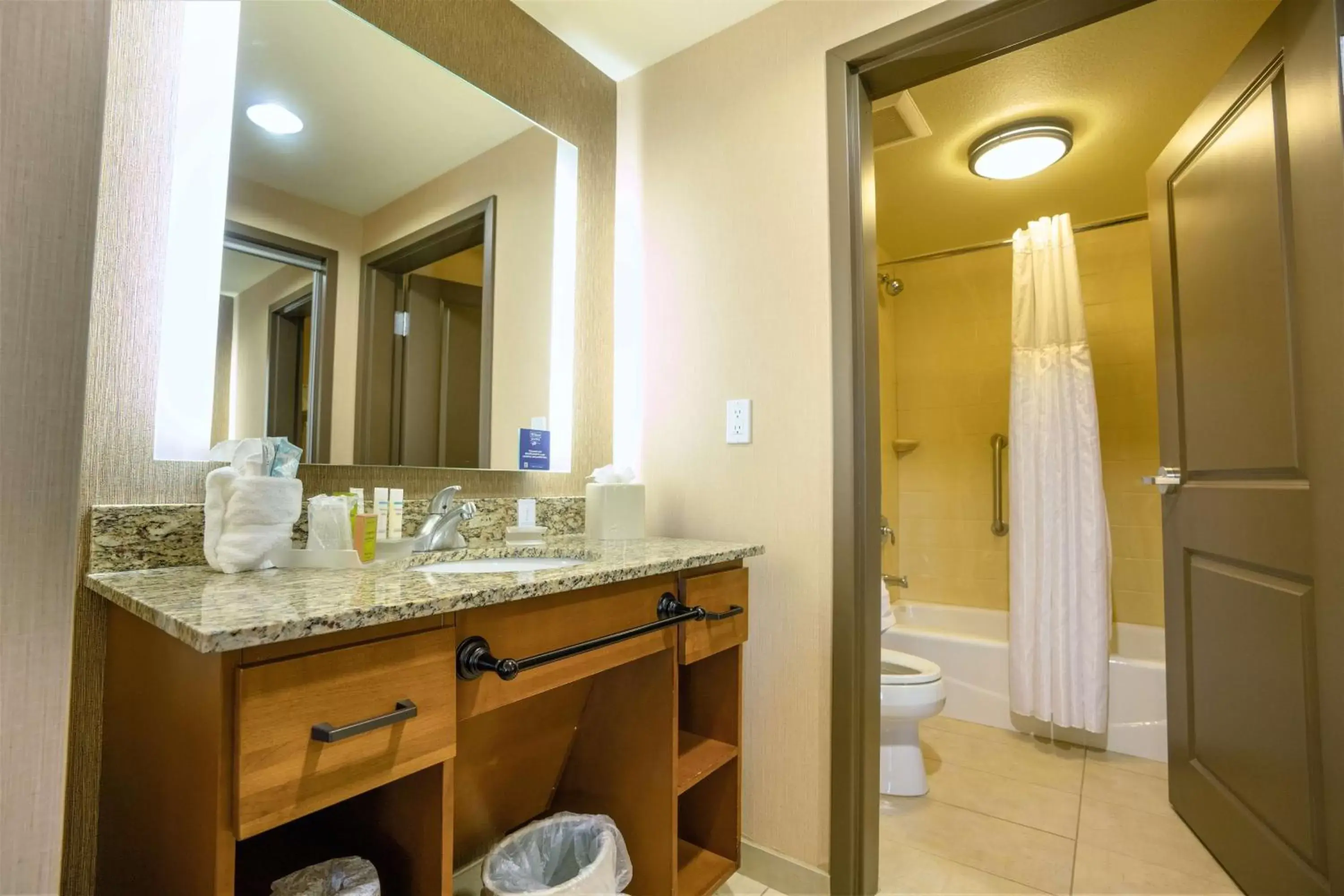Bathroom in Homewood Suites by Hilton, Durango