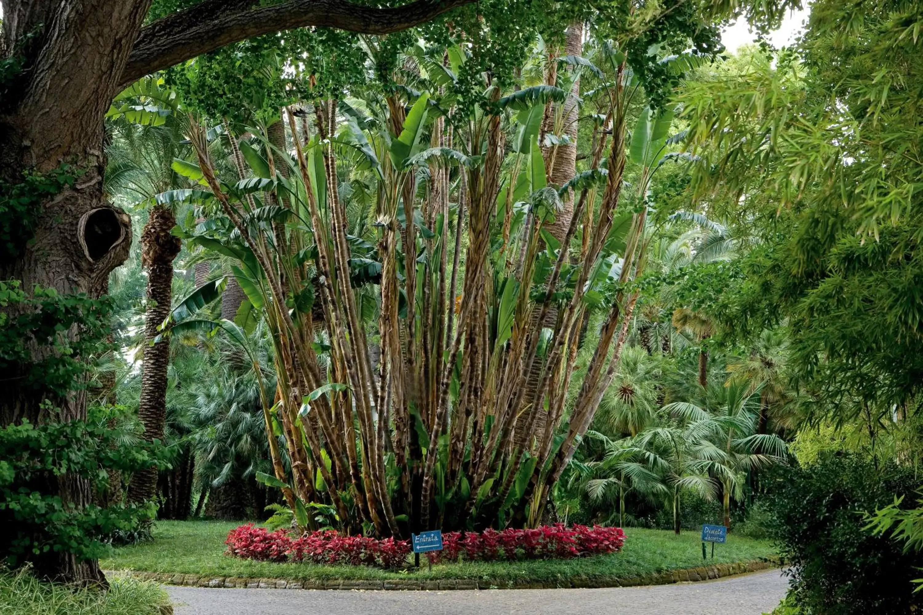 Property building, Garden in Parco dei Principi