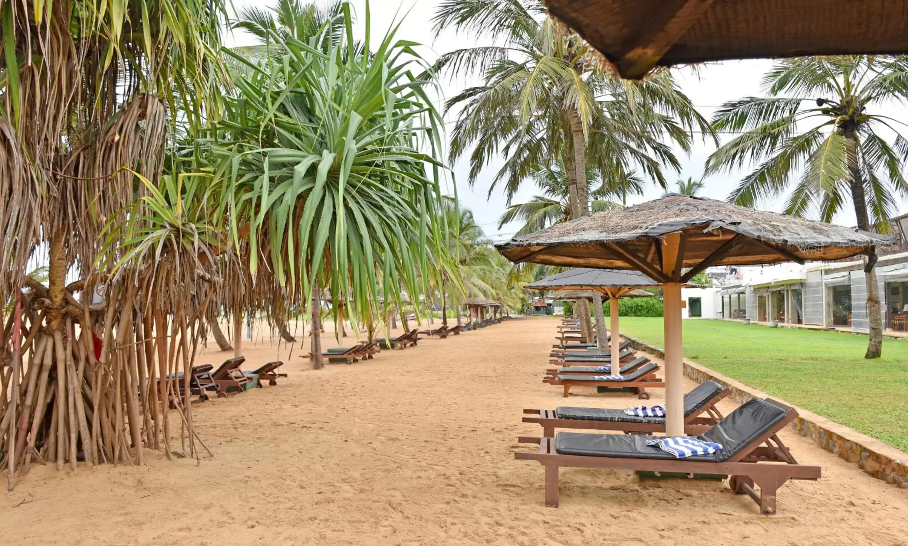 Beach in Goldi Sands Hotel