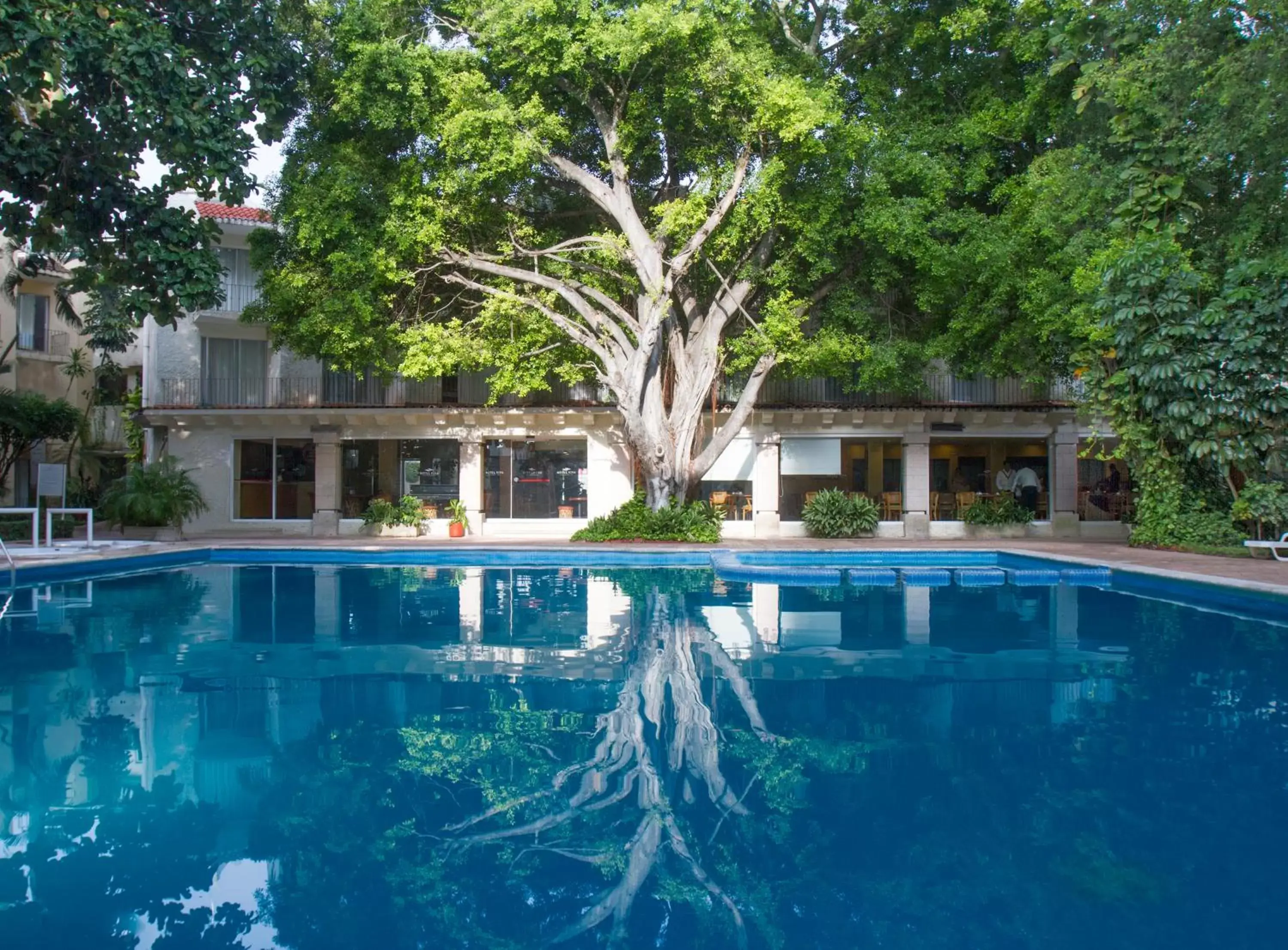 Swimming Pool in Hotel Viva Villahermosa