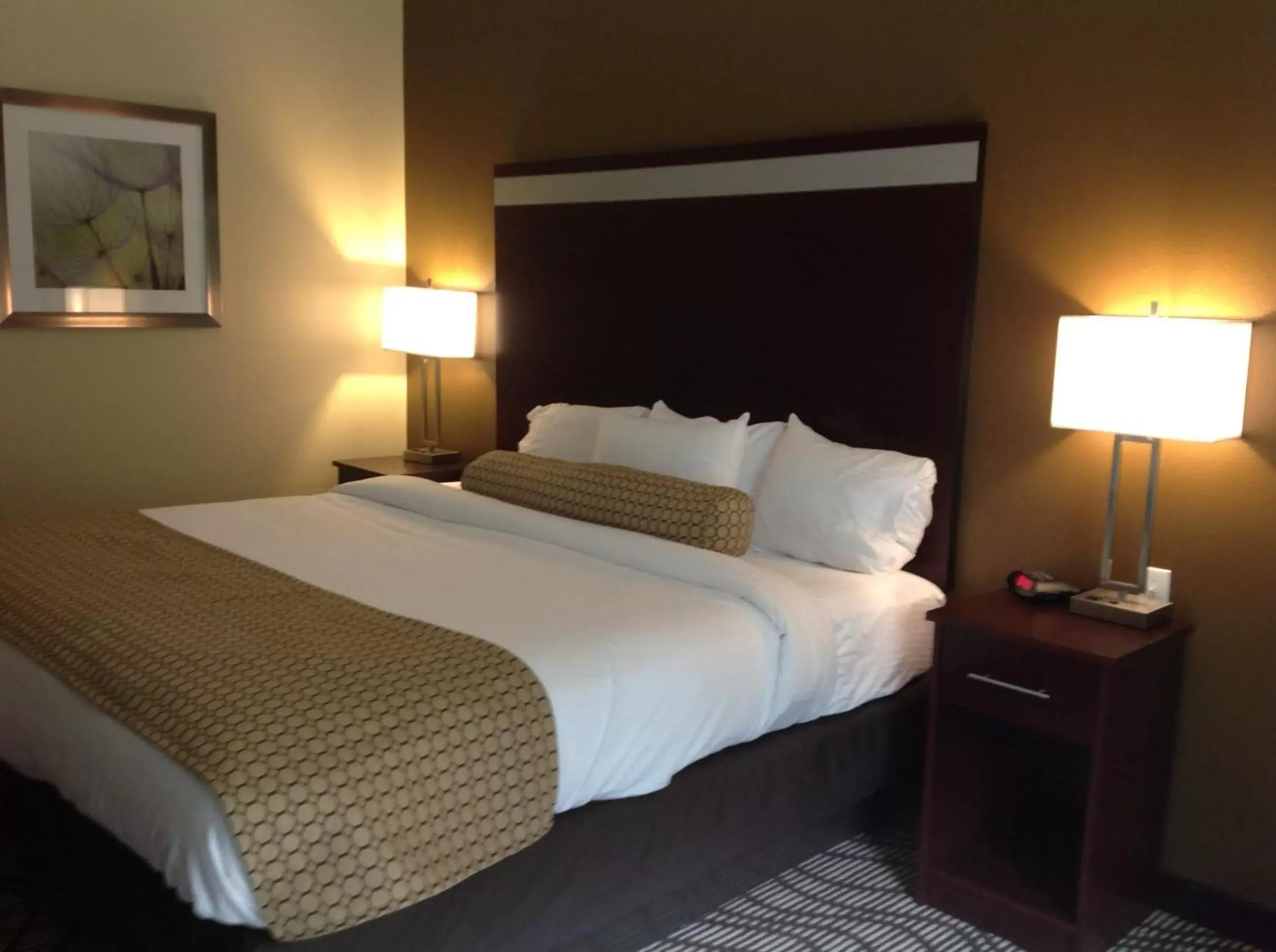Bed in Executive Inn and Suites Jefferson