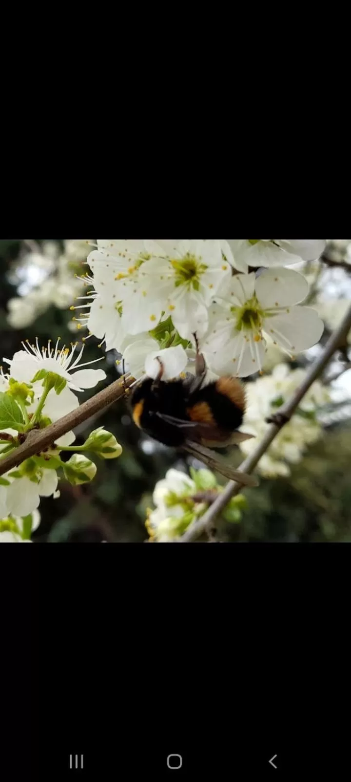 Hillside Bed and Breakfast