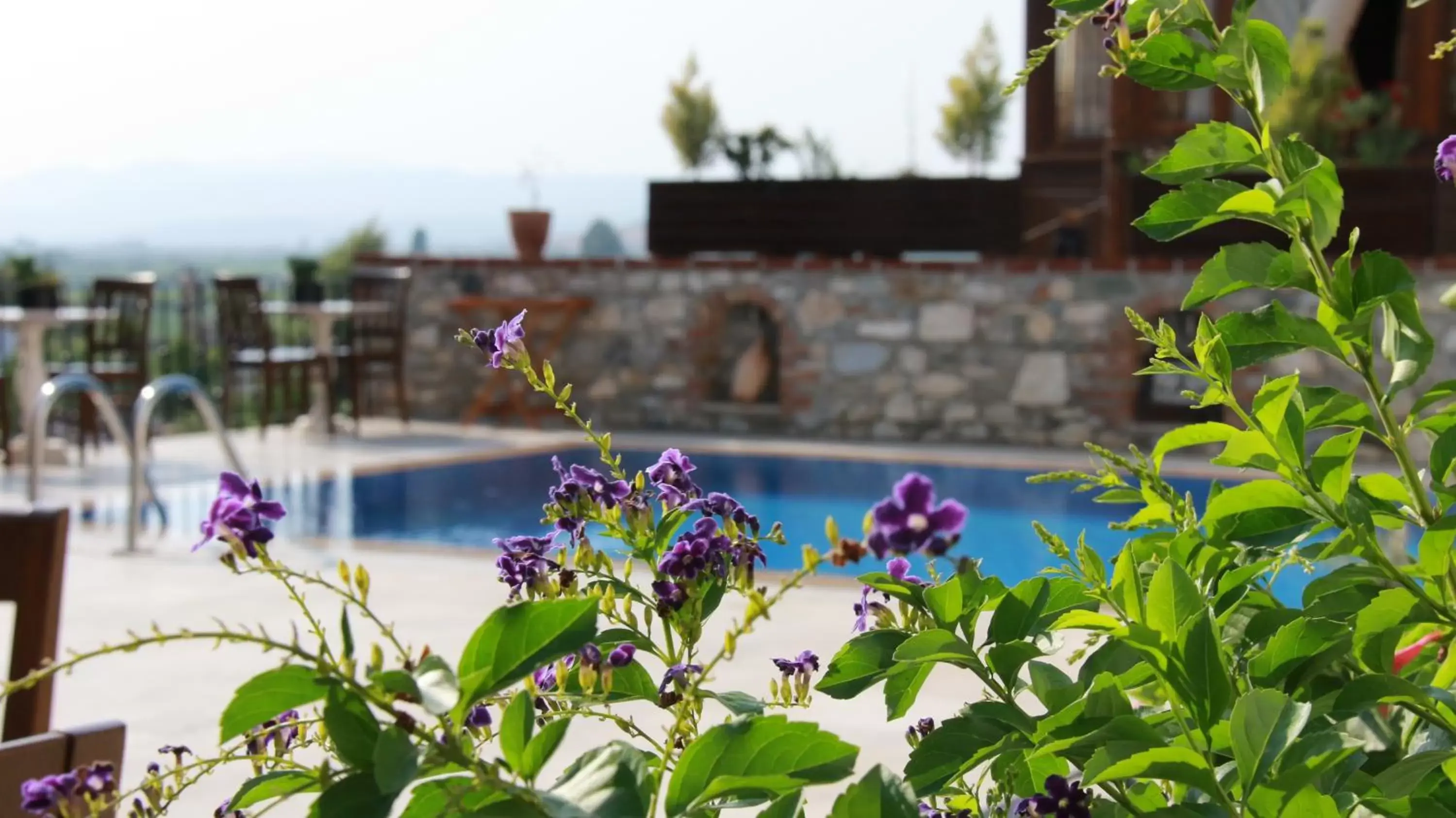 Restaurant/places to eat, Swimming Pool in Ayasoluk Hotel & Restaurant