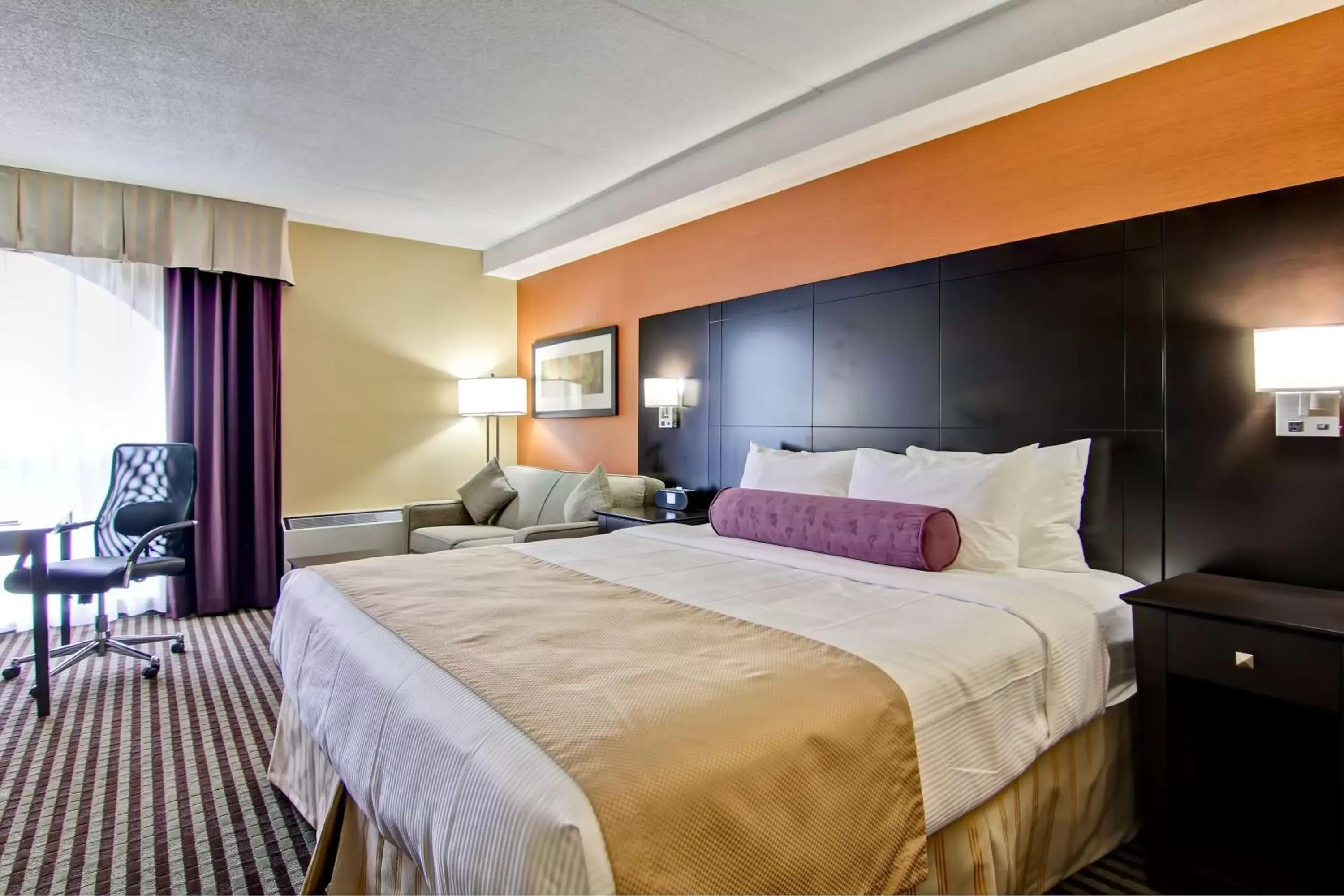 Photo of the whole room, Bed in Best Western Plus Toronto North York Hotel & Suites