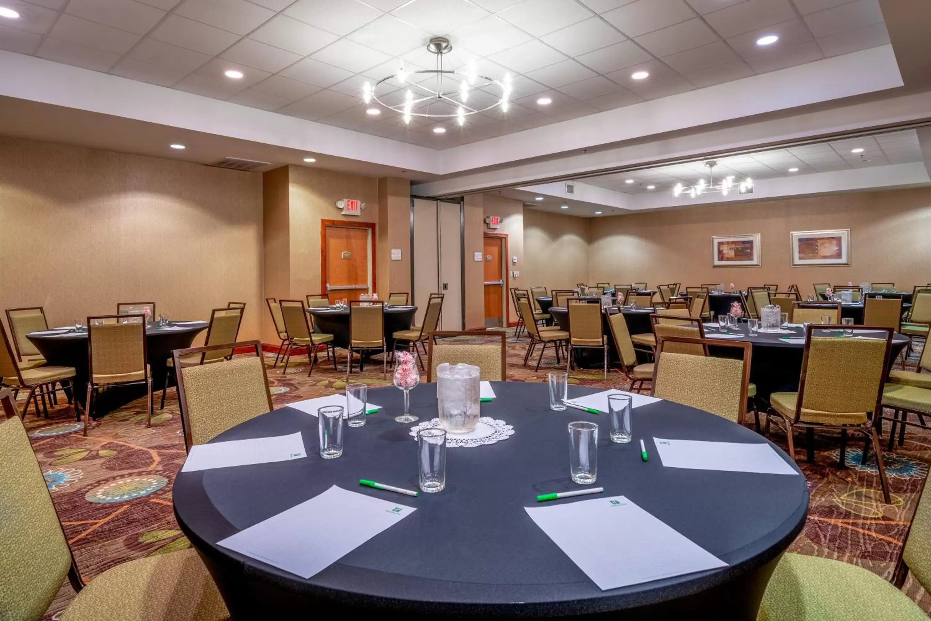 Banquet/Function facilities in Holiday Inn Manassas - Battlefield, an IHG Hotel