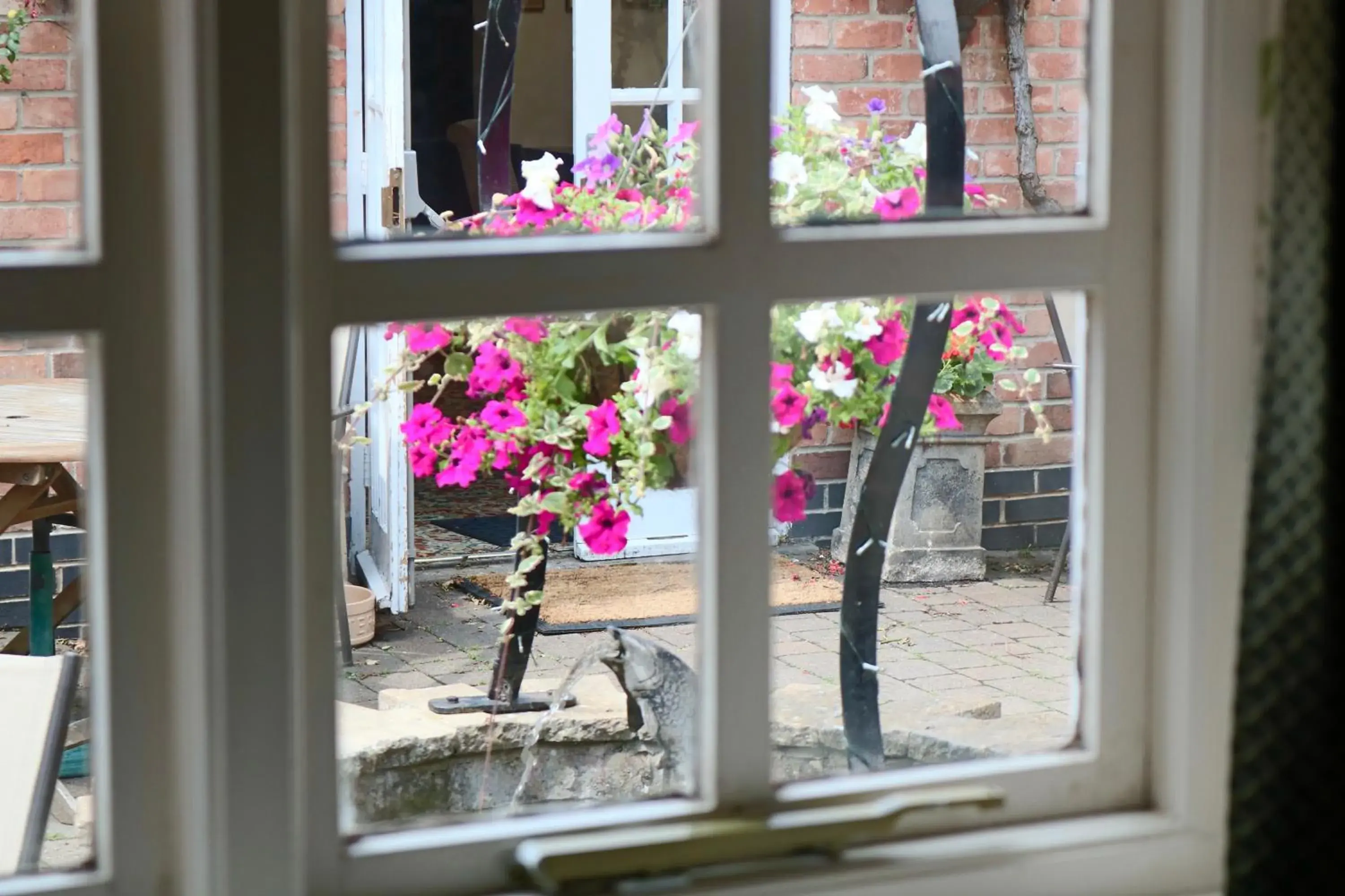 Garden view in The Cottage Hotel