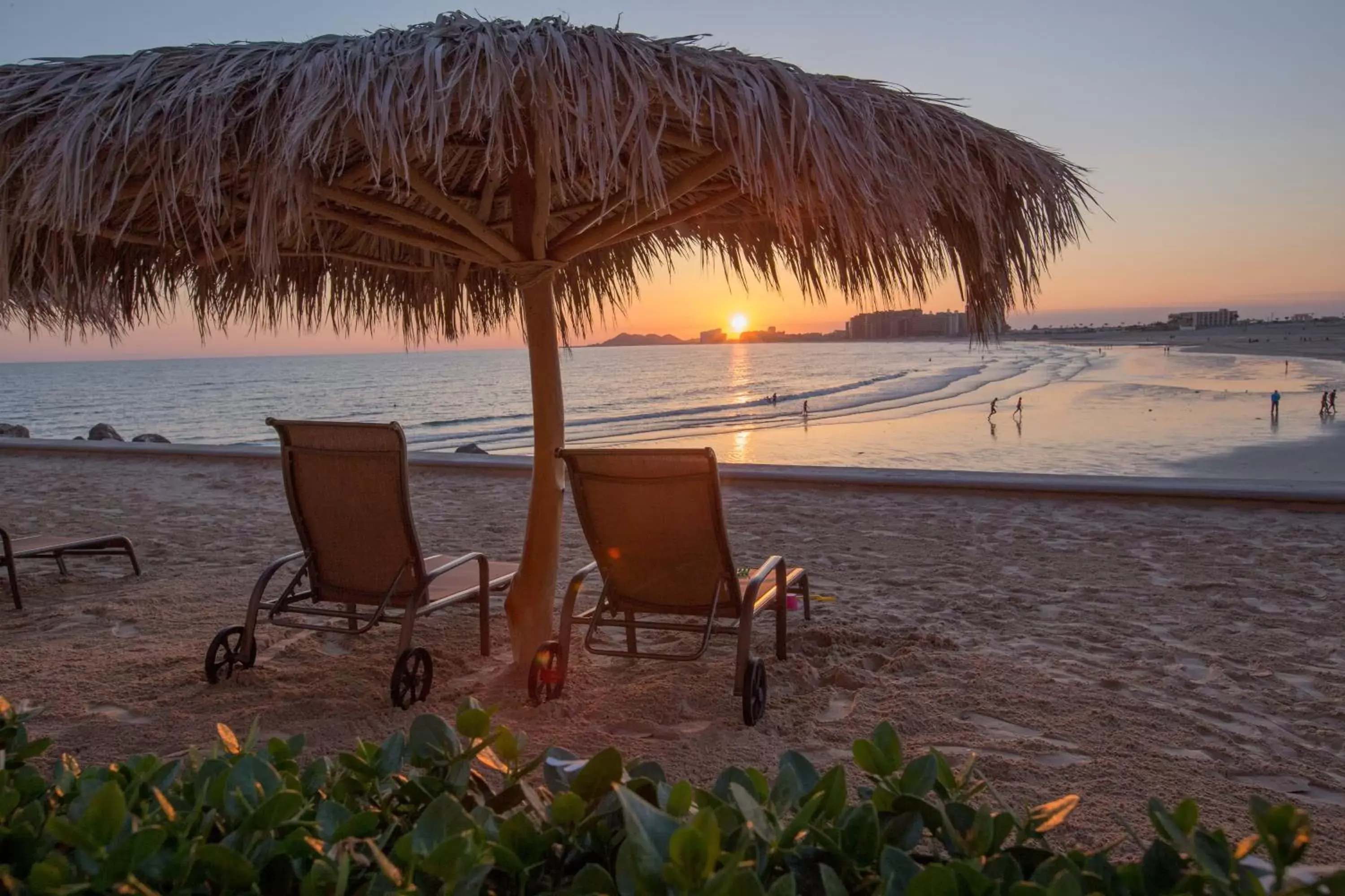 Garden, Beach in Peñasco del Sol Hotel