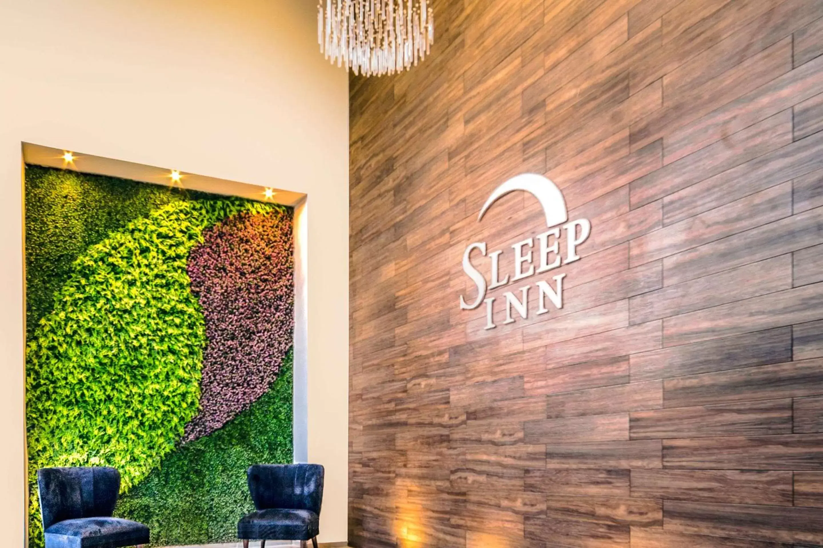 Lobby or reception in Sleep Inn Villahermosa