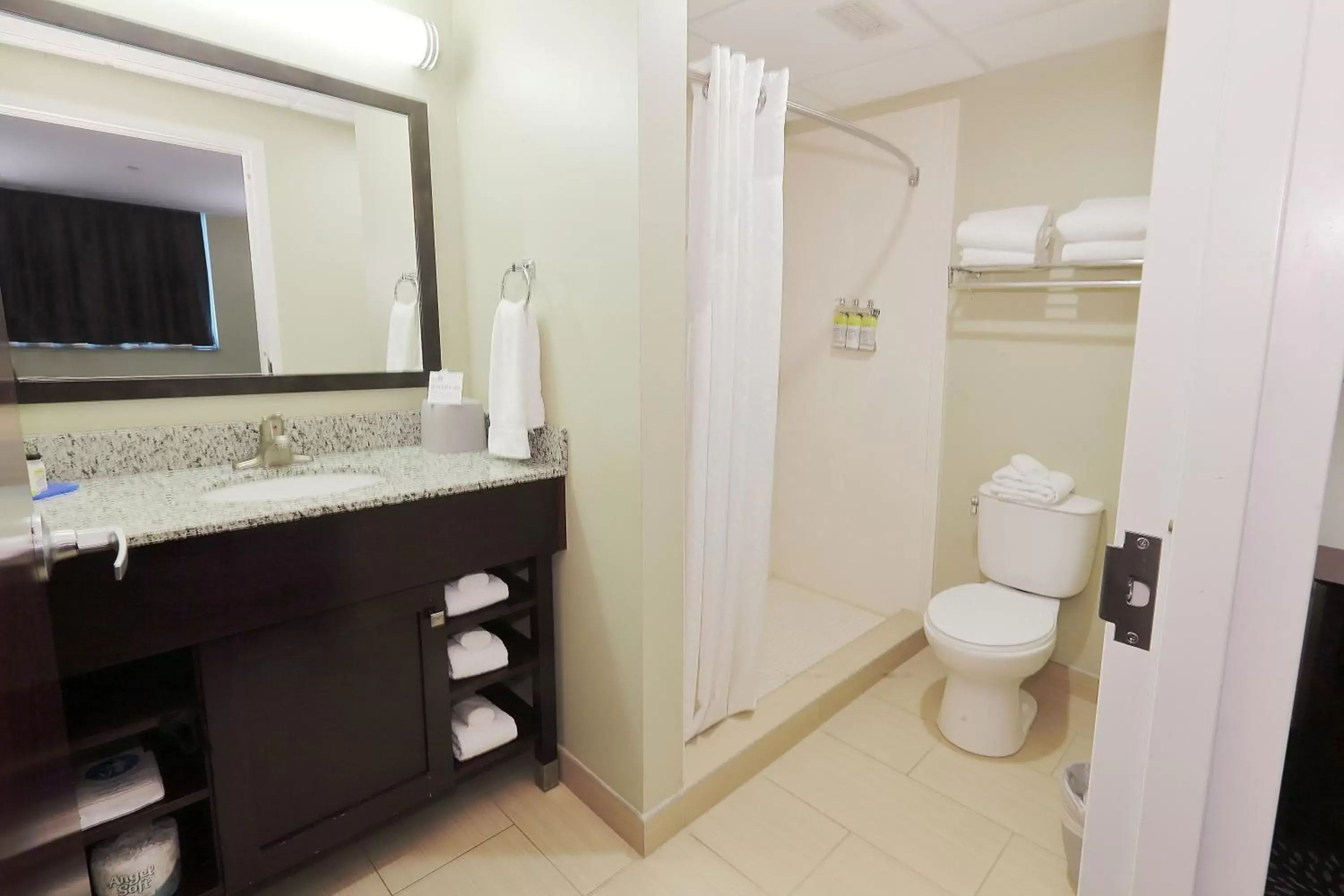 Bathroom in Holiday Inn Express Pittsburgh West - Greentree, an IHG Hotel